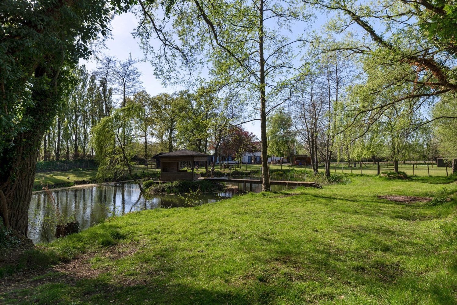 CHARMANTE HOEVE OP PERCEEL VAN 5.808 m²! foto 23
