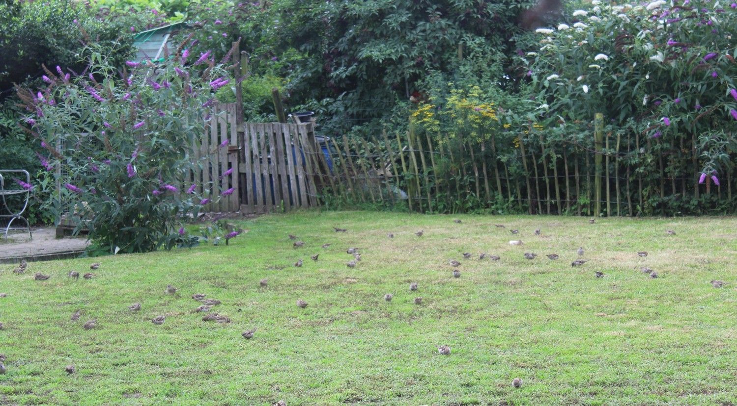 Vernieuwde woning, zeer rustig gelegen met enorm grote zolderruimte. Veel potentieel! foto 18