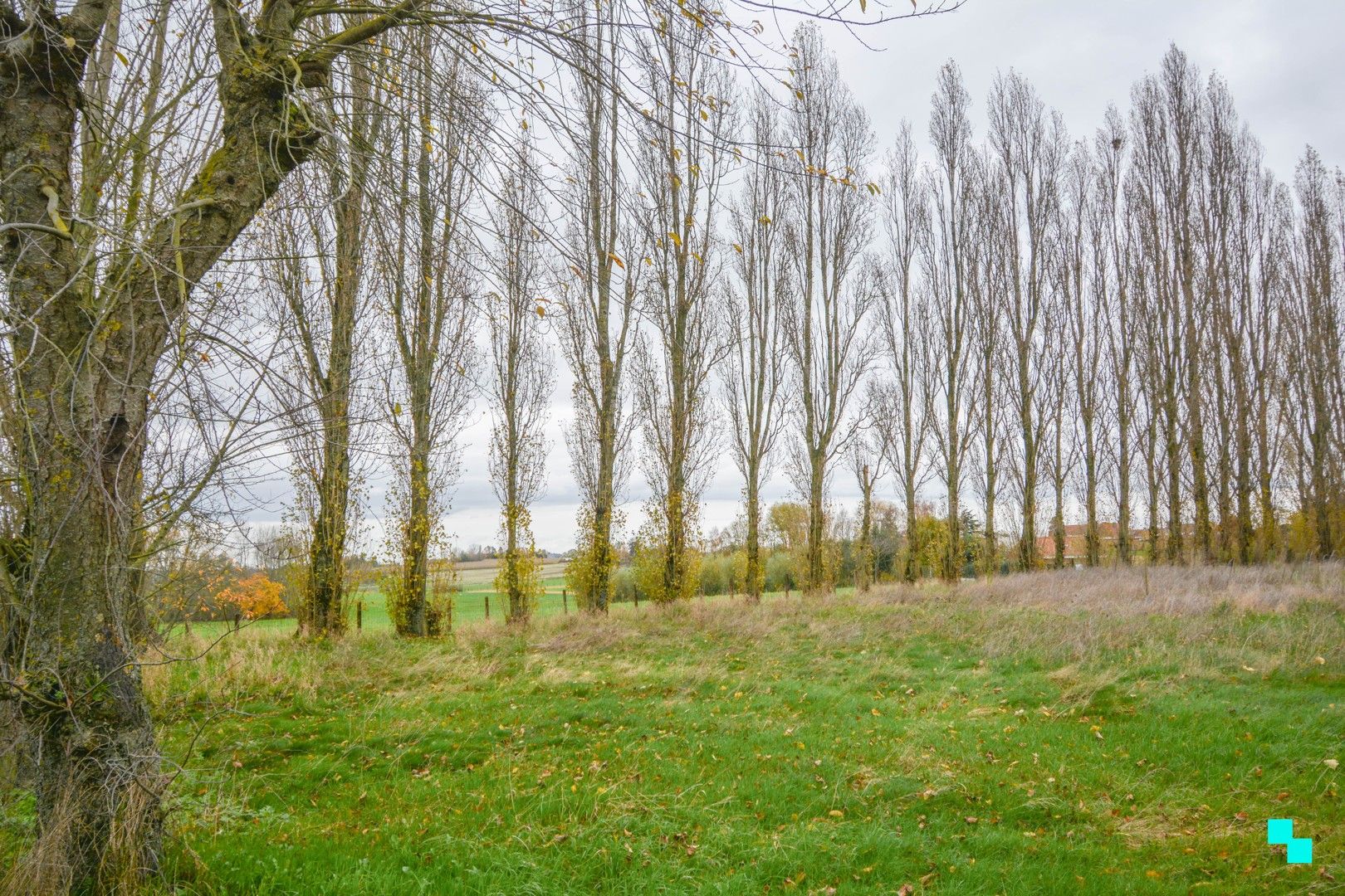 Landelijk gelegen nieuwbouw villa te Zonnebeke foto 6