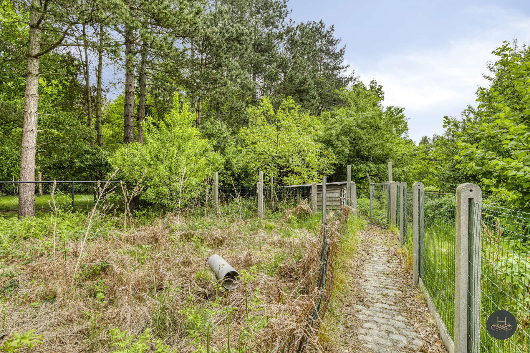 Karaktervolle, energiezuinige HOB in groene omgeving foto 28