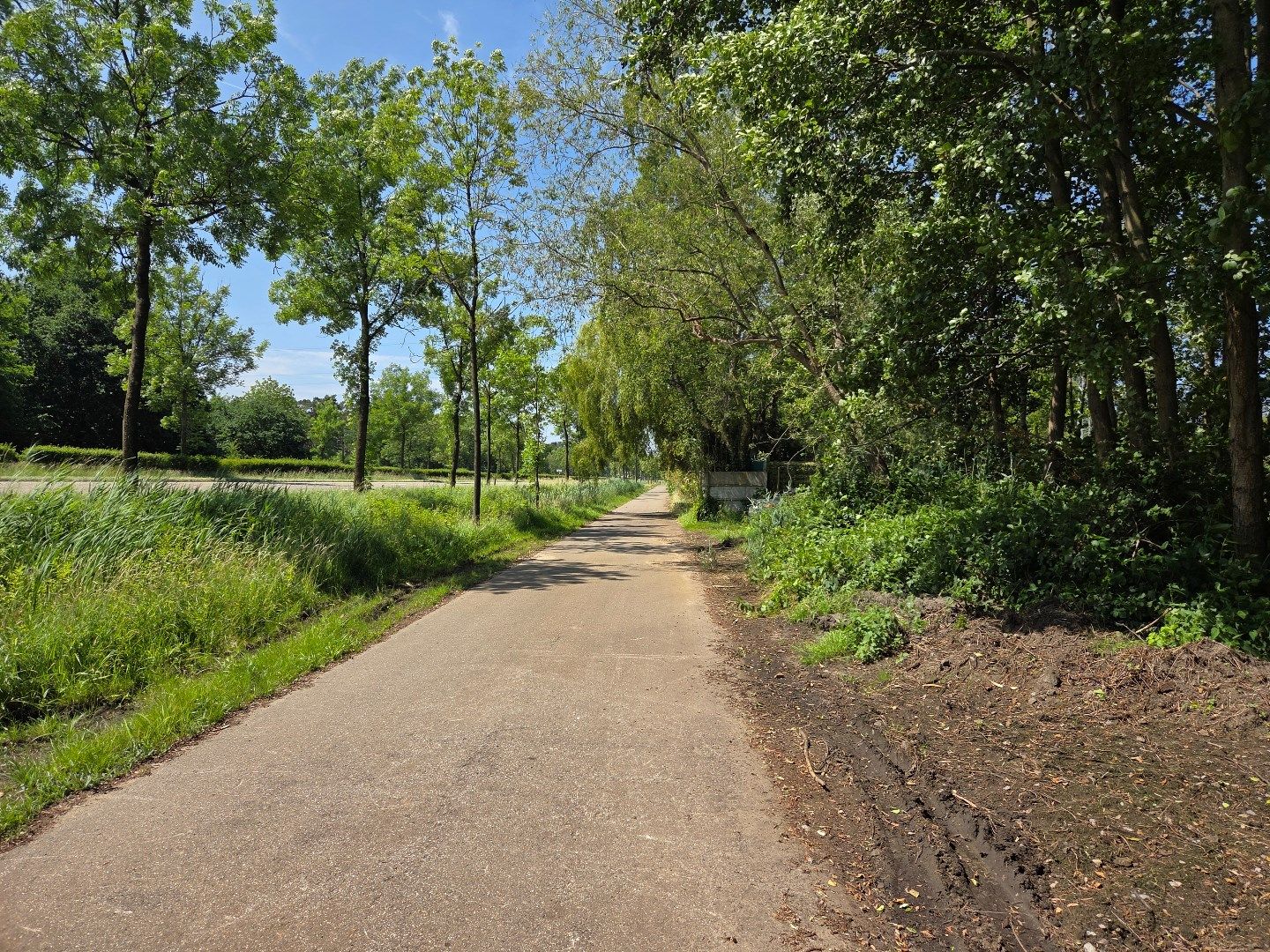 Perceel hooiland van 2.532 m² langs de Ring in Mol ! foto 7