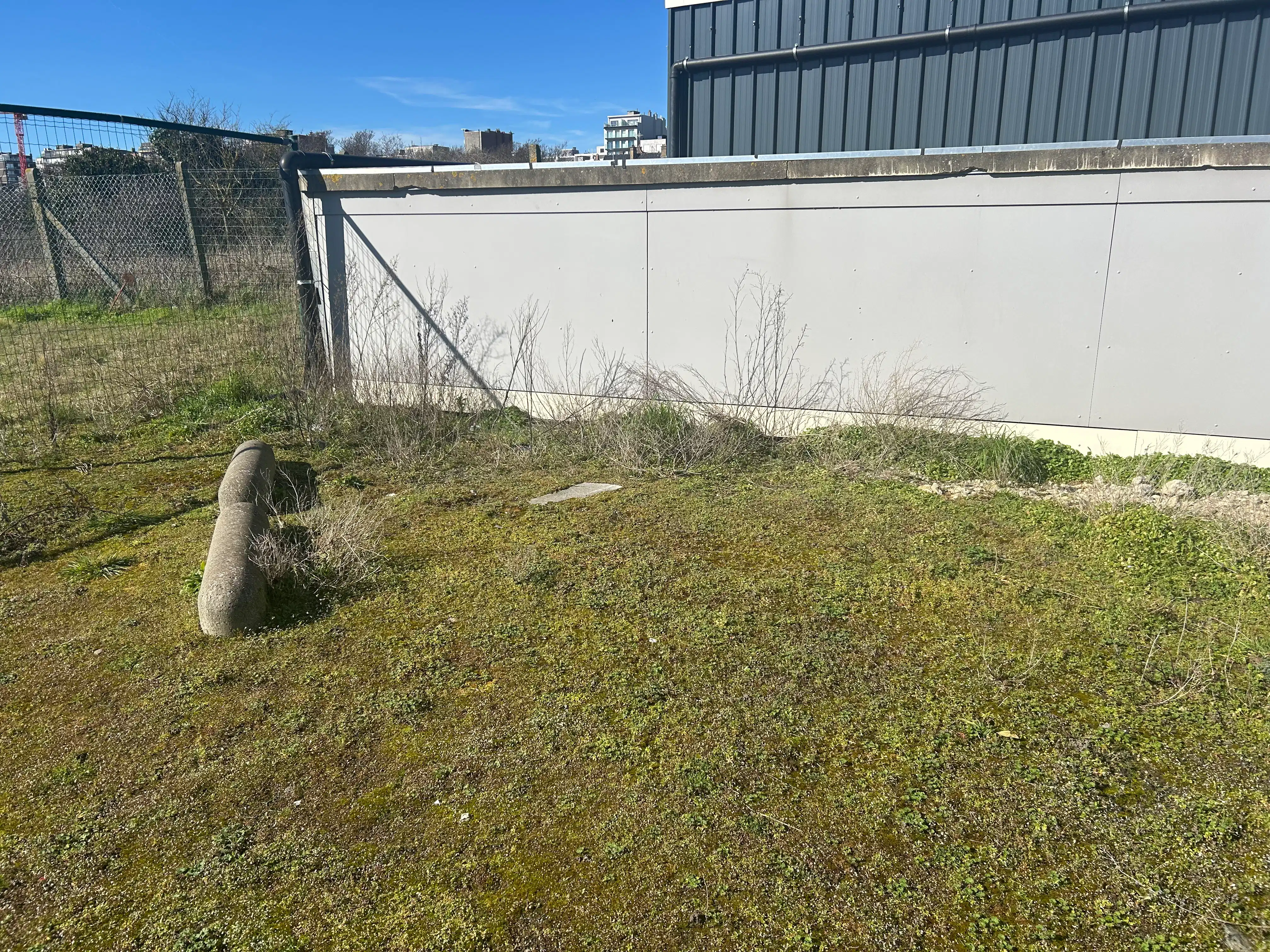 Grasparking te huur te Middelkerke foto 3