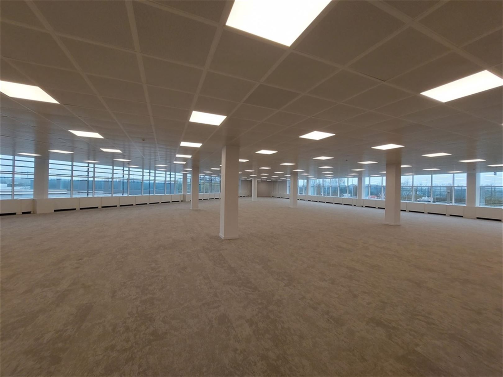 DE KLEETLAAN - PEGASUS PARK: vanaf 391m² foto 4