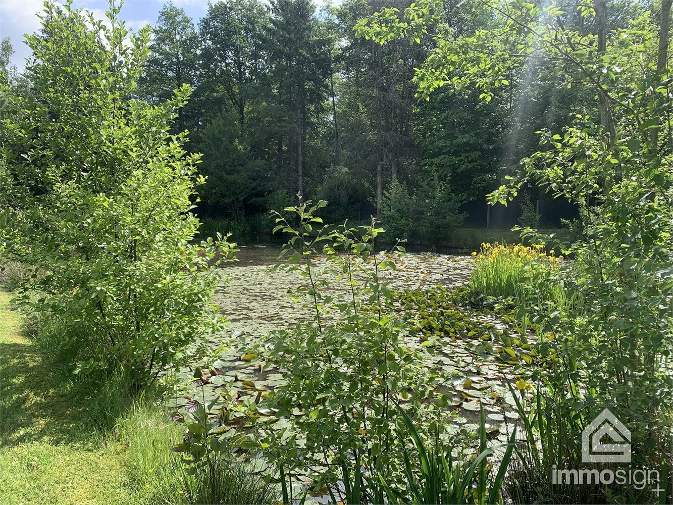 Idyllische parel voorzien van vijver gelegen te Oudsbergen foto 24