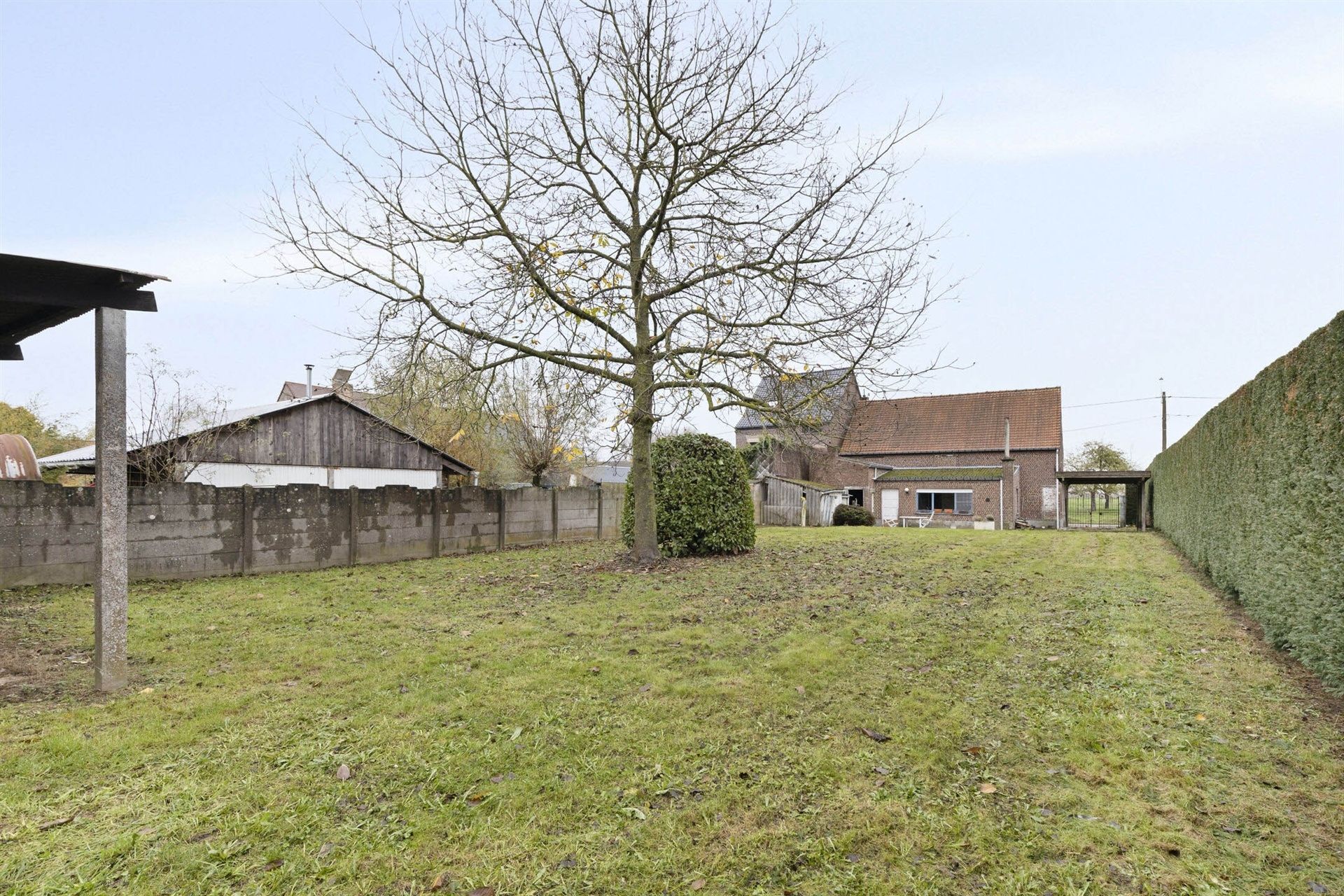 ONDER COMPROMIS! Landelijk zicht achter deze te renoveren woning  foto 3