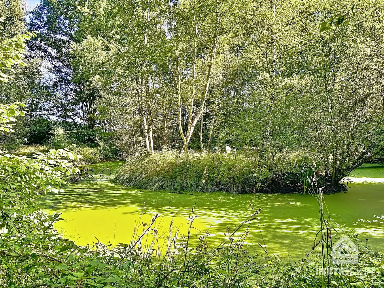 Uniek stuk grond van 9.050 m² in Grote-Brogel/Peer! foto 14