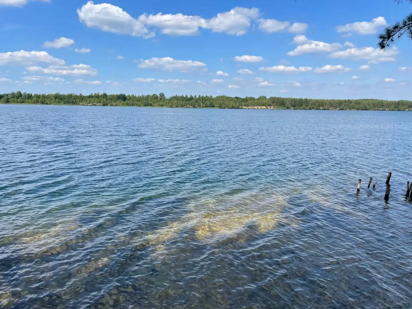 Dubbele woonst op 3000m²  met uitzicht op natuur en water foto 9