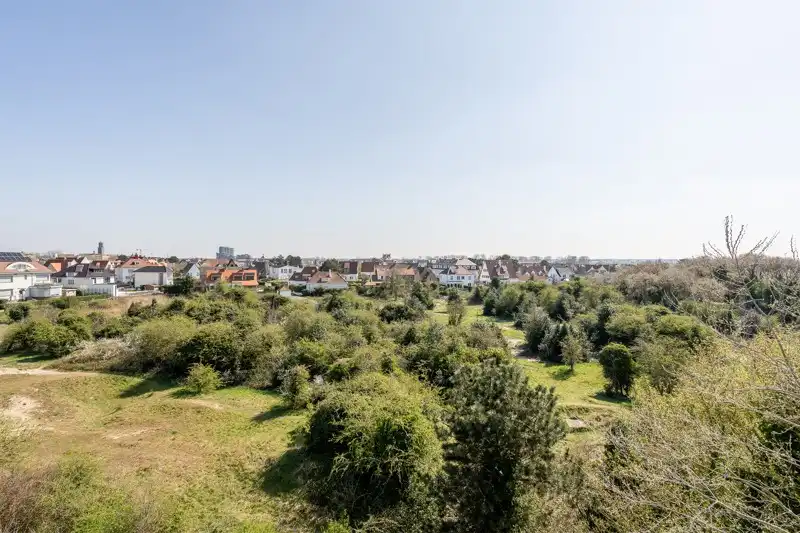 Luxueus modern penthouse met panoramisch zicht over Park 58 foto 5