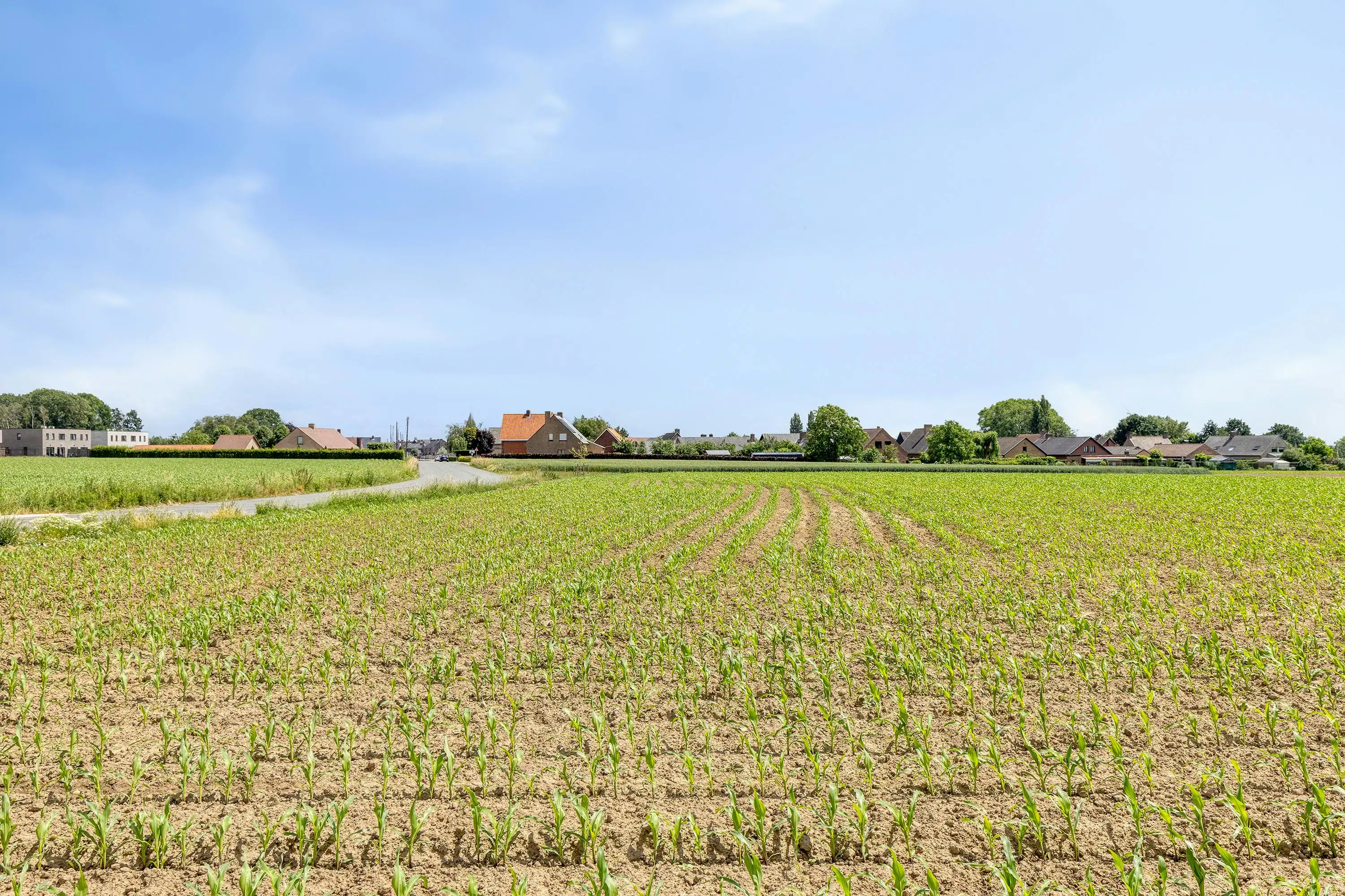 Te renoveren woning met opslag en landelijk zicht op 3635m² foto 32