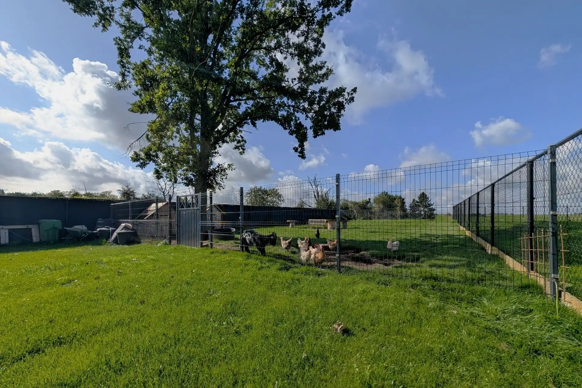 Landelijke gezinswoning op perceel van 13a71ca foto 41
