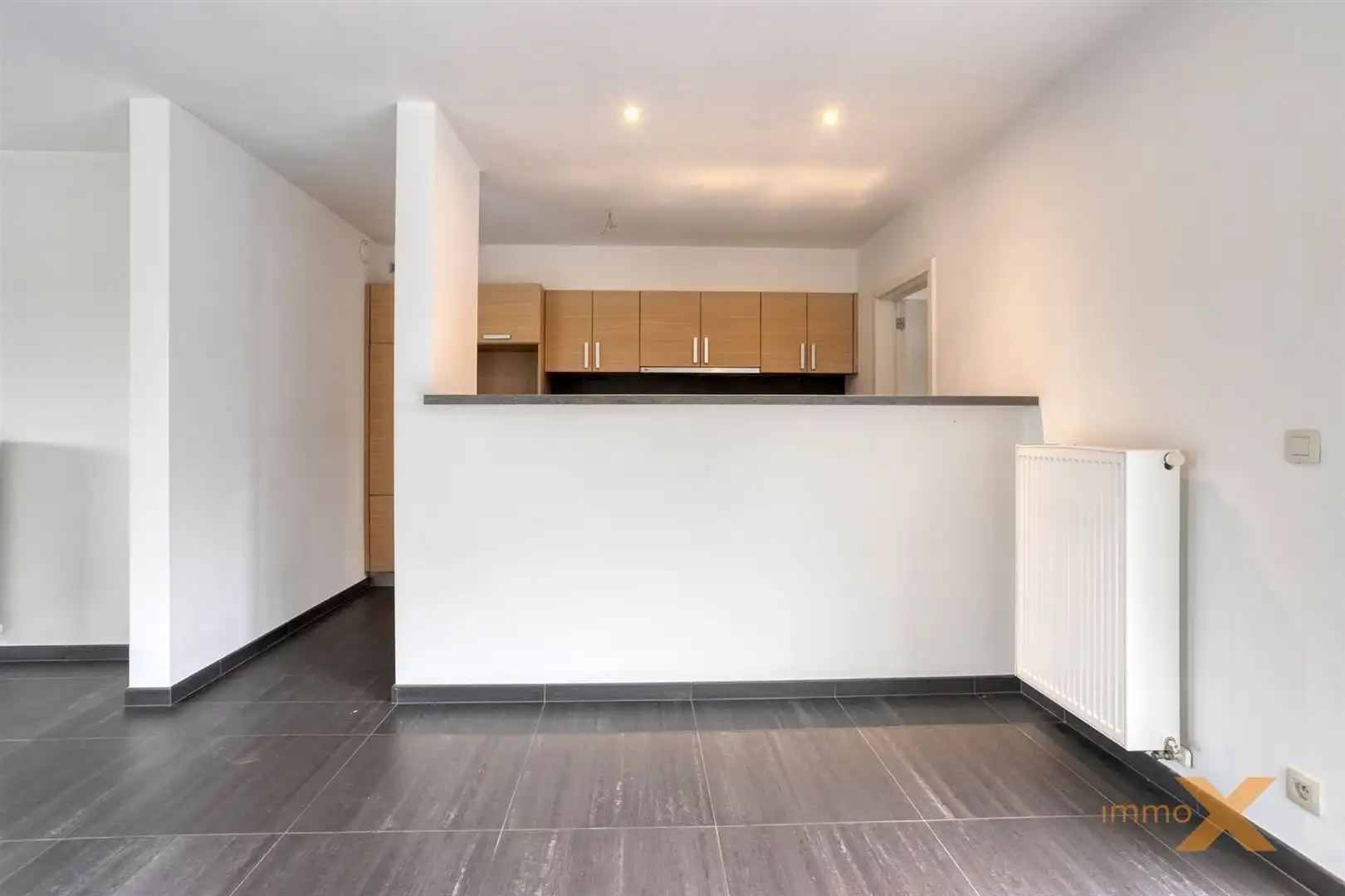 RECENTE INSTAPKLARE LICHTRIJKE RUIME WONING foto 6