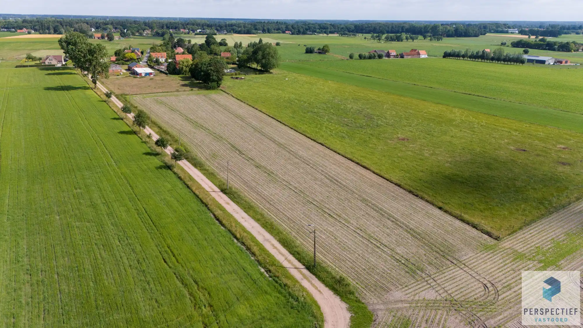 UITERST RUSTIG & LANDELIJK GELEGEN hoeve met WEILAND op ca. 6790 m² foto 5