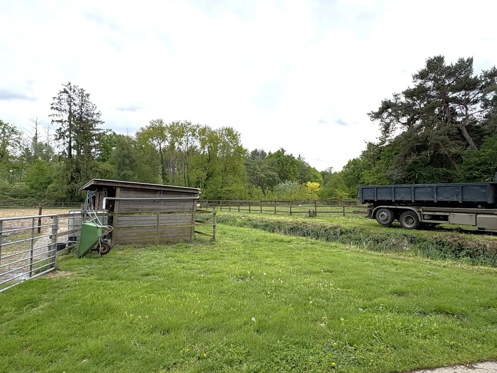 Grote weide en bos foto 5