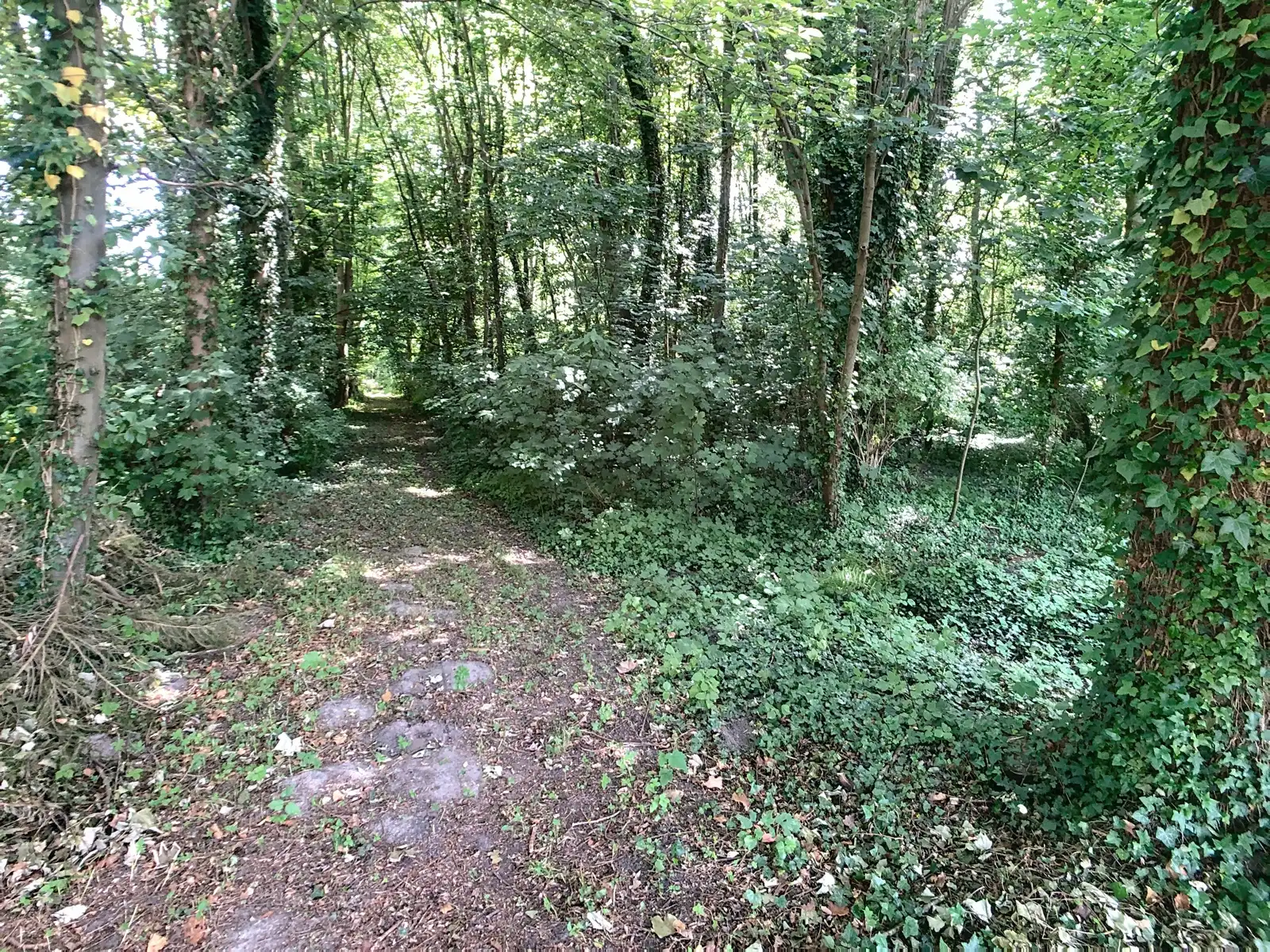 Bosgrond met vijver nabij centrum Hever. foto {{pictureIndex}}