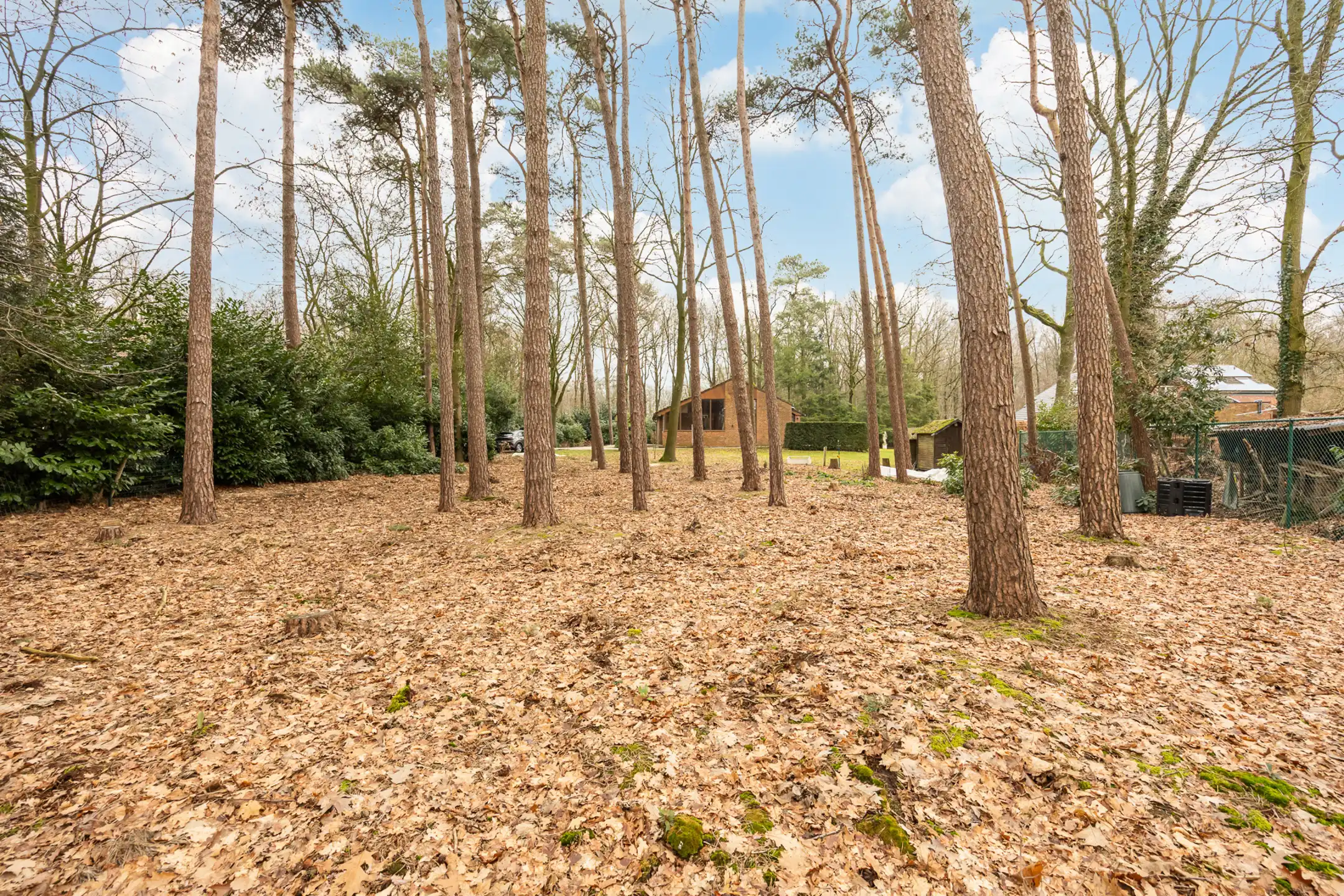 Te renoveren laagbouw gelegen op groot perceel te Merksplas. foto 27