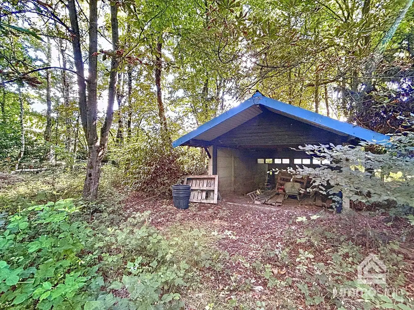 Uniek stuk grond van 9.050 m² in Grote-Brogel/Peer! foto 9