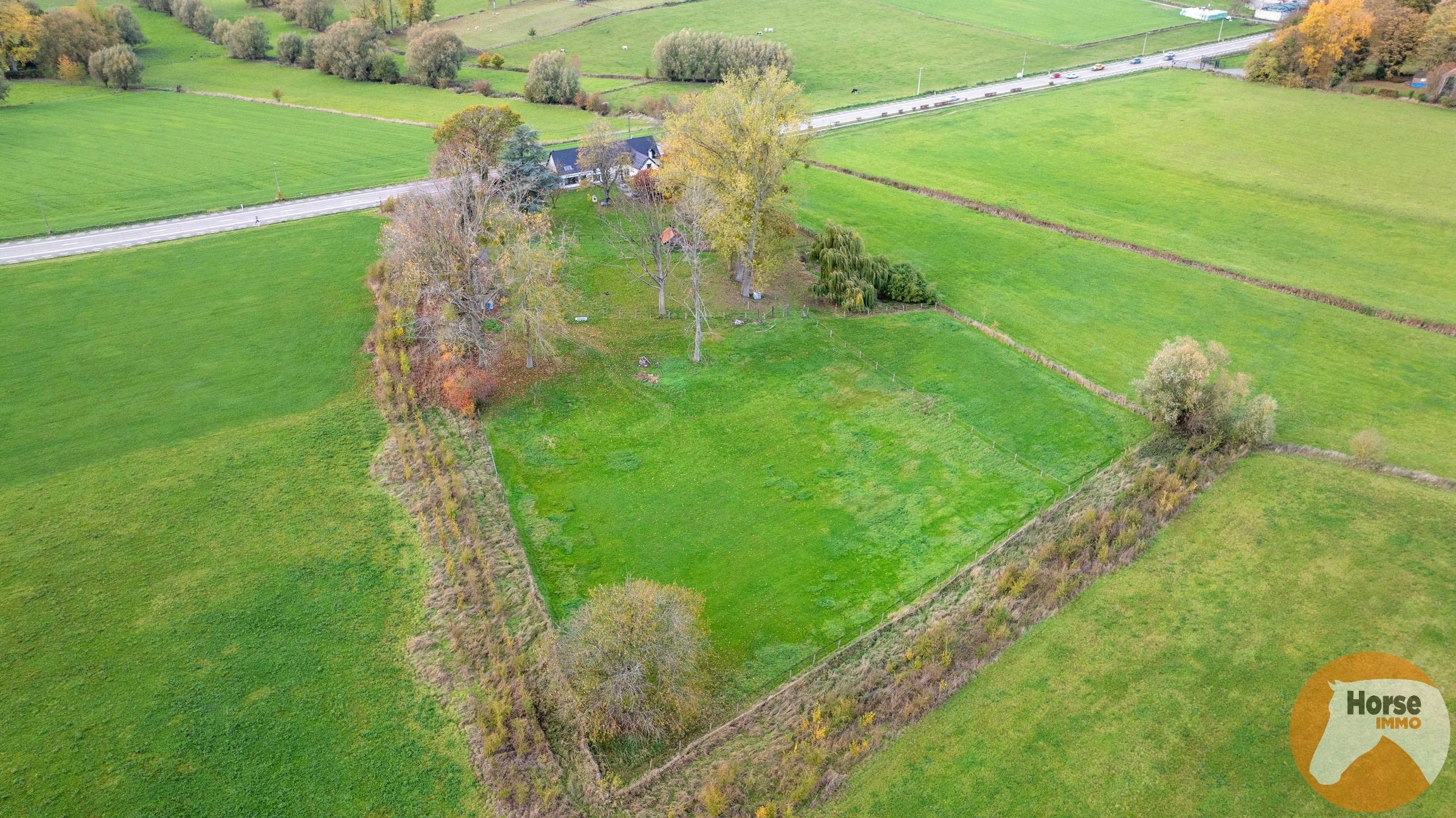 PEPINGEN - Charmante hoeve met prachtig uitzicht op 1,2ha foto 3