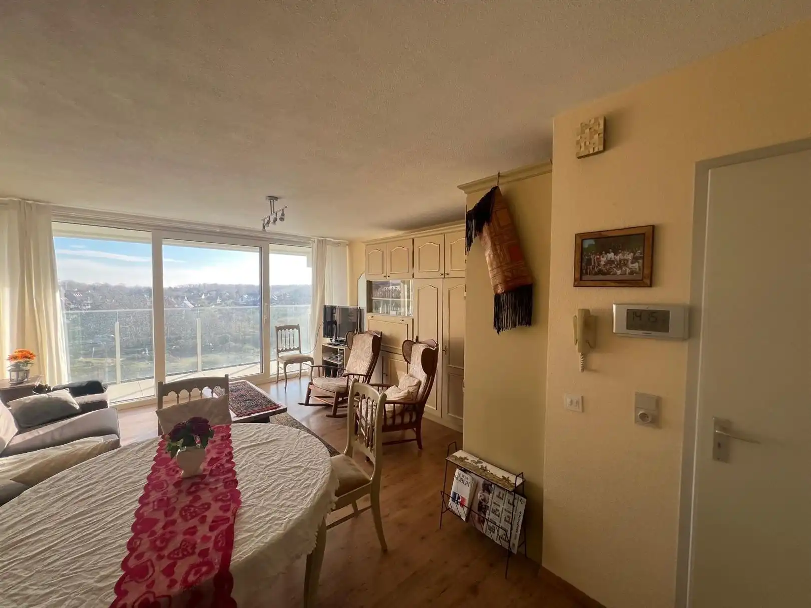 Zongerichte studio met prachtig zicht op duinen en groot terras foto 4