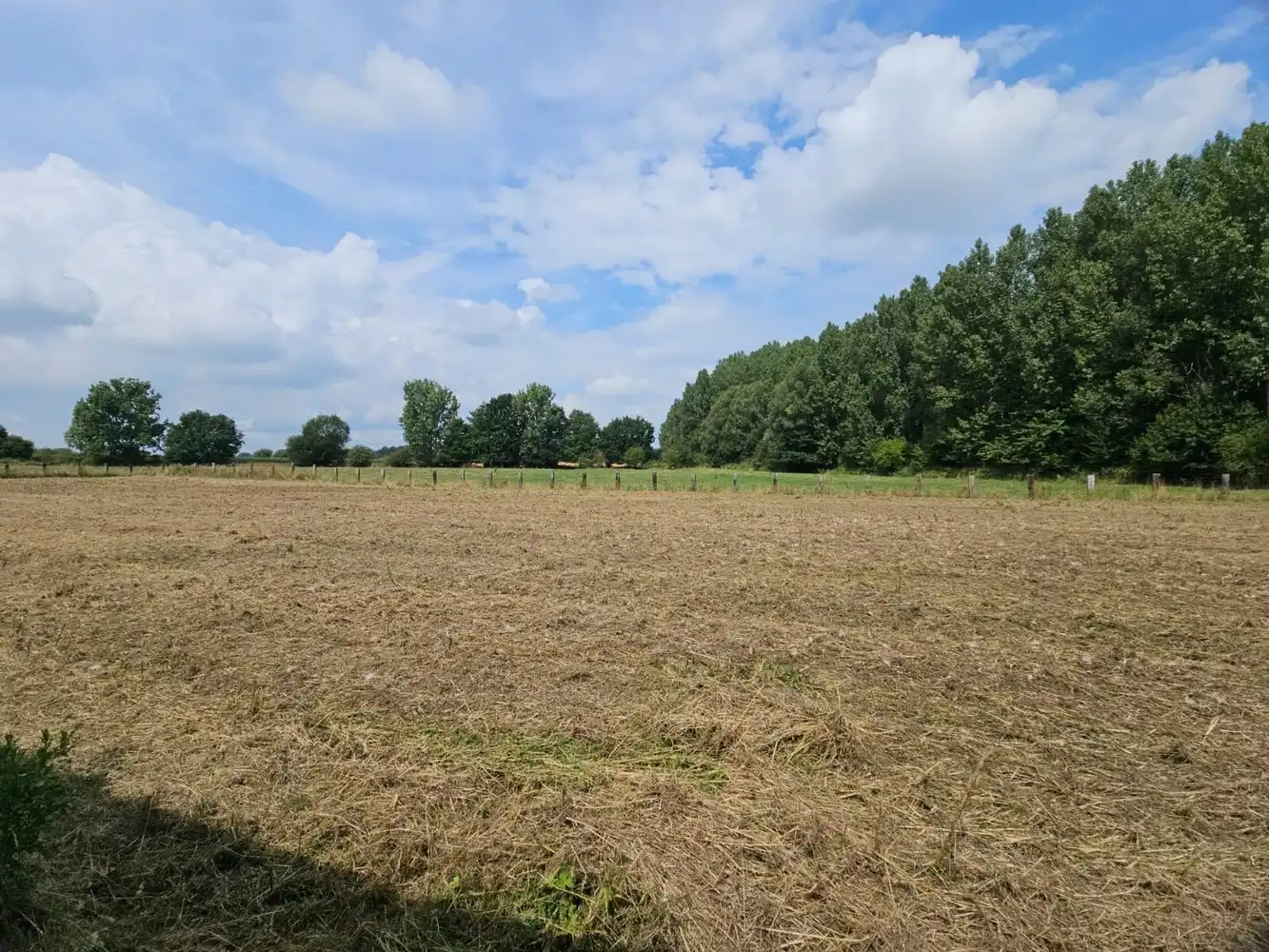 Prachtig gelegen, verder te vernieuwen landgebouw (omg. Congoberg) foto 16