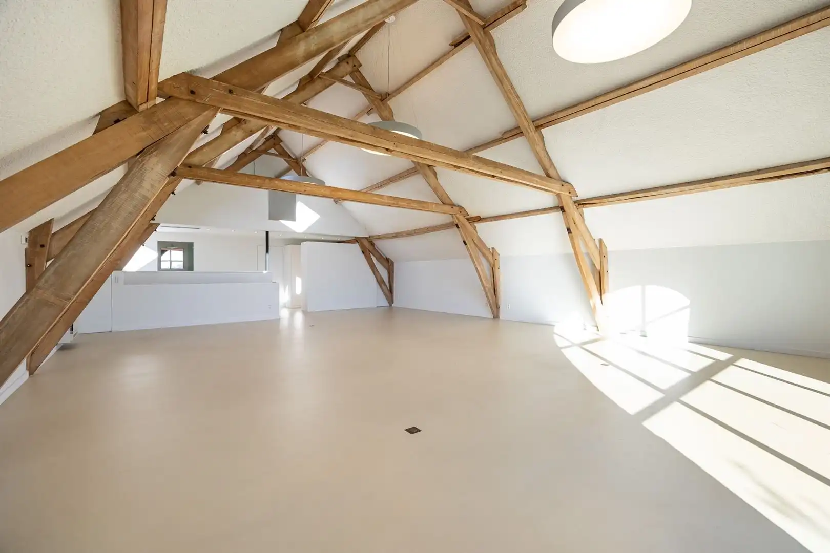 Exclusief landhuis met multifunctioneel bijgebouw foto 17