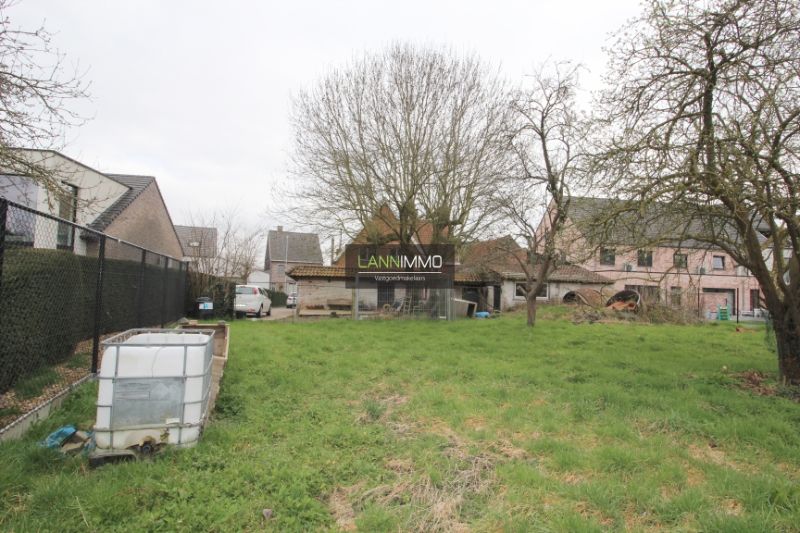 Projectgrond met boomgaard foto 4