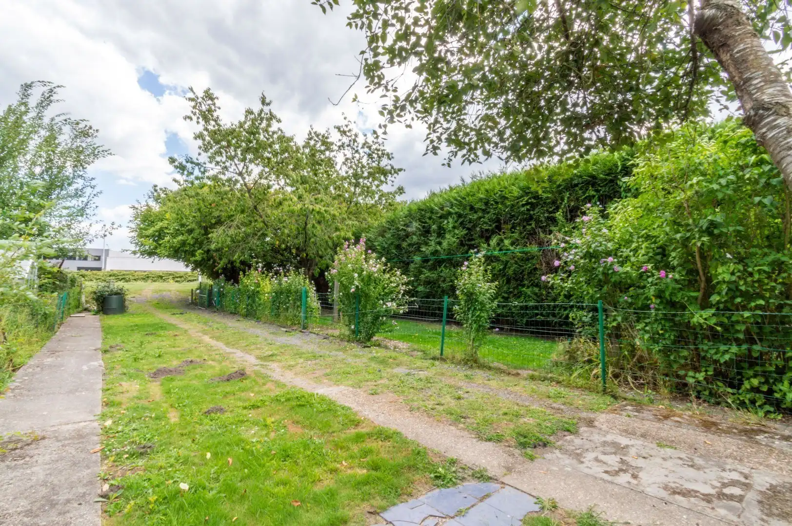 TE MODERNISEREN WONING MET 3 SLAAPKAMERS + TUIN! foto 5