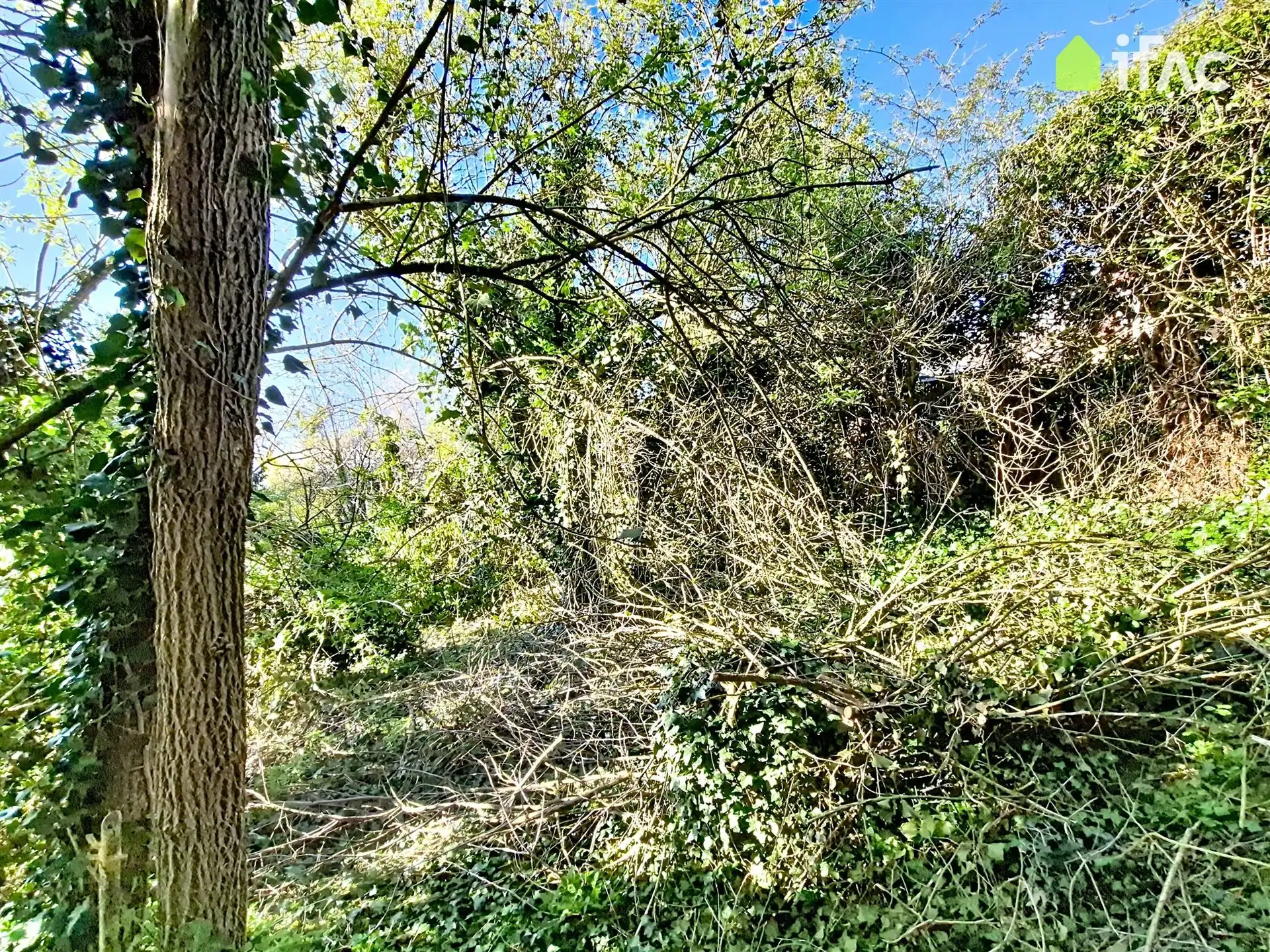 Centraal gelegen 4gevel woning op 25,45a in het centrum  foto 22