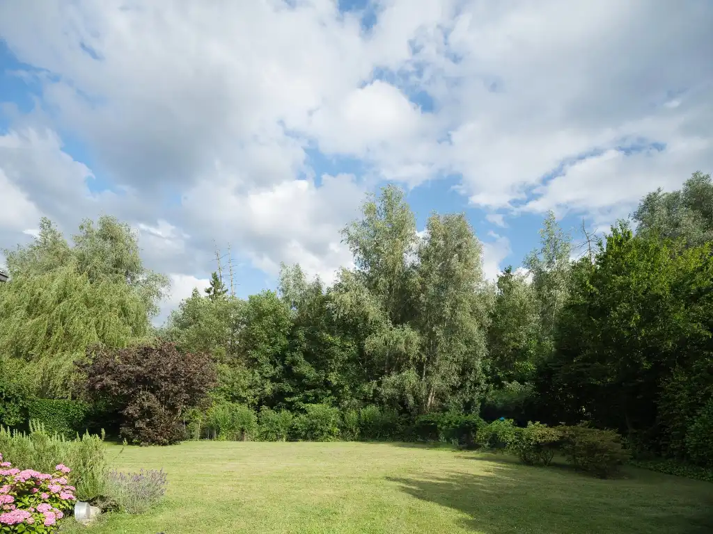 Uniek gelegen woning in doodlopende straat grenzend aan het Parkbos foto 9