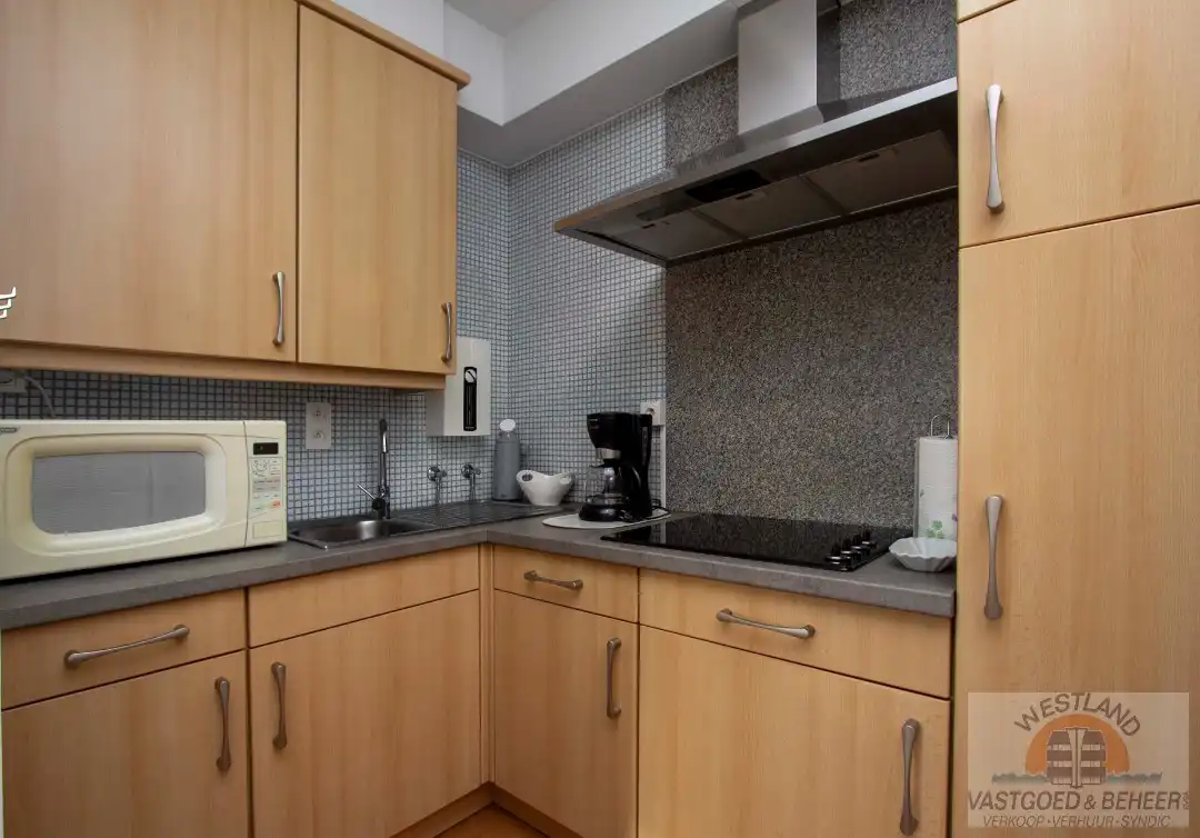 Hoekappartement met prachtig uitzicht foto 6