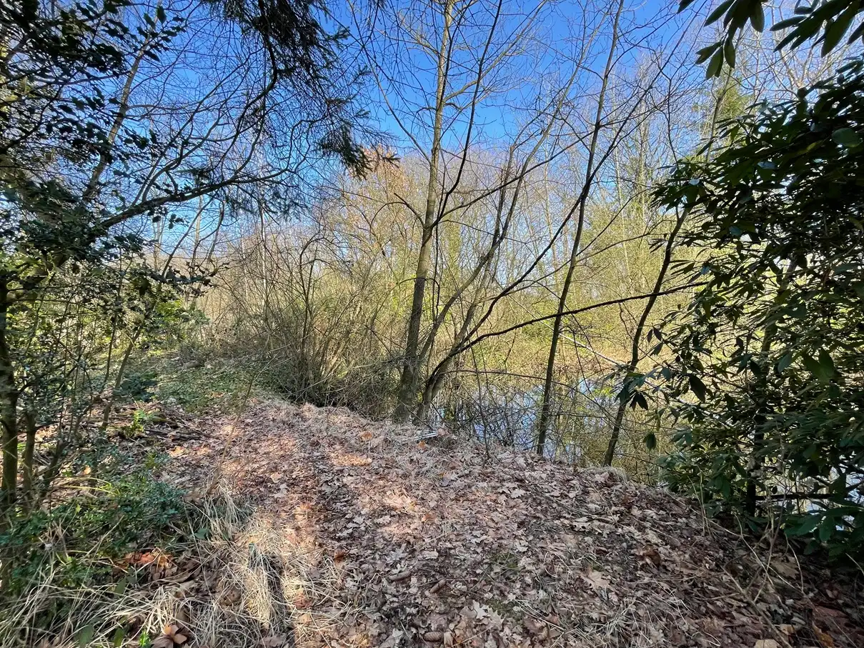 Verblijfsrecreatie met vijver foto 5