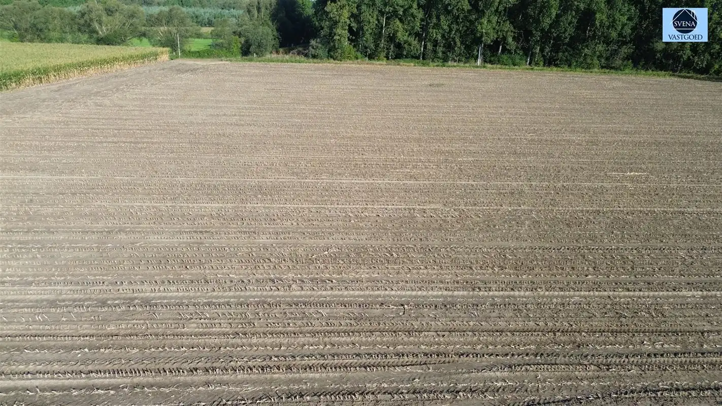 LANDBOUWGROND GELEGEN TE VIANE foto 2