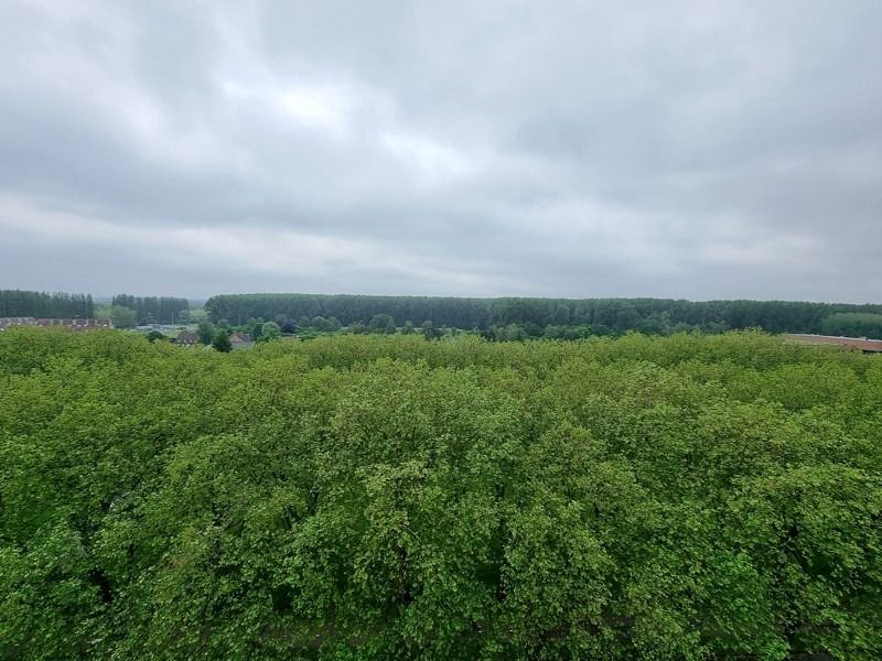 prachtig gelegen appartement met zicht over groen Linkeroever met parkeerplaats foto 6