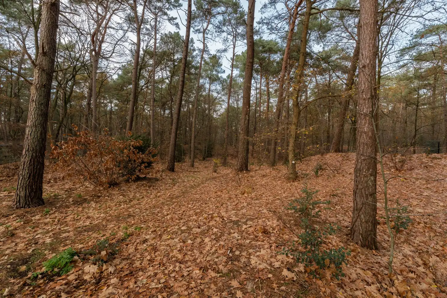 Handelspand met magazijn op zichtlocatie – Kamperbaan 114, Hechtel foto 38