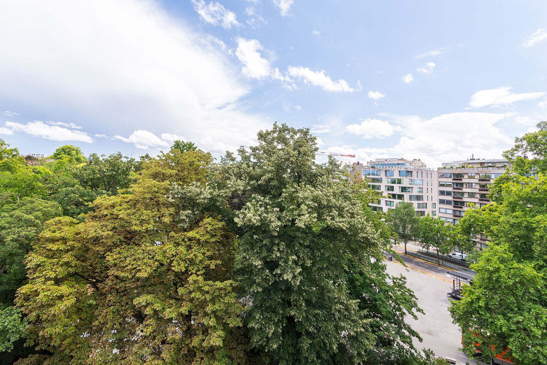 Stadspark - Ruim 3 slpk app. met terras  foto 7