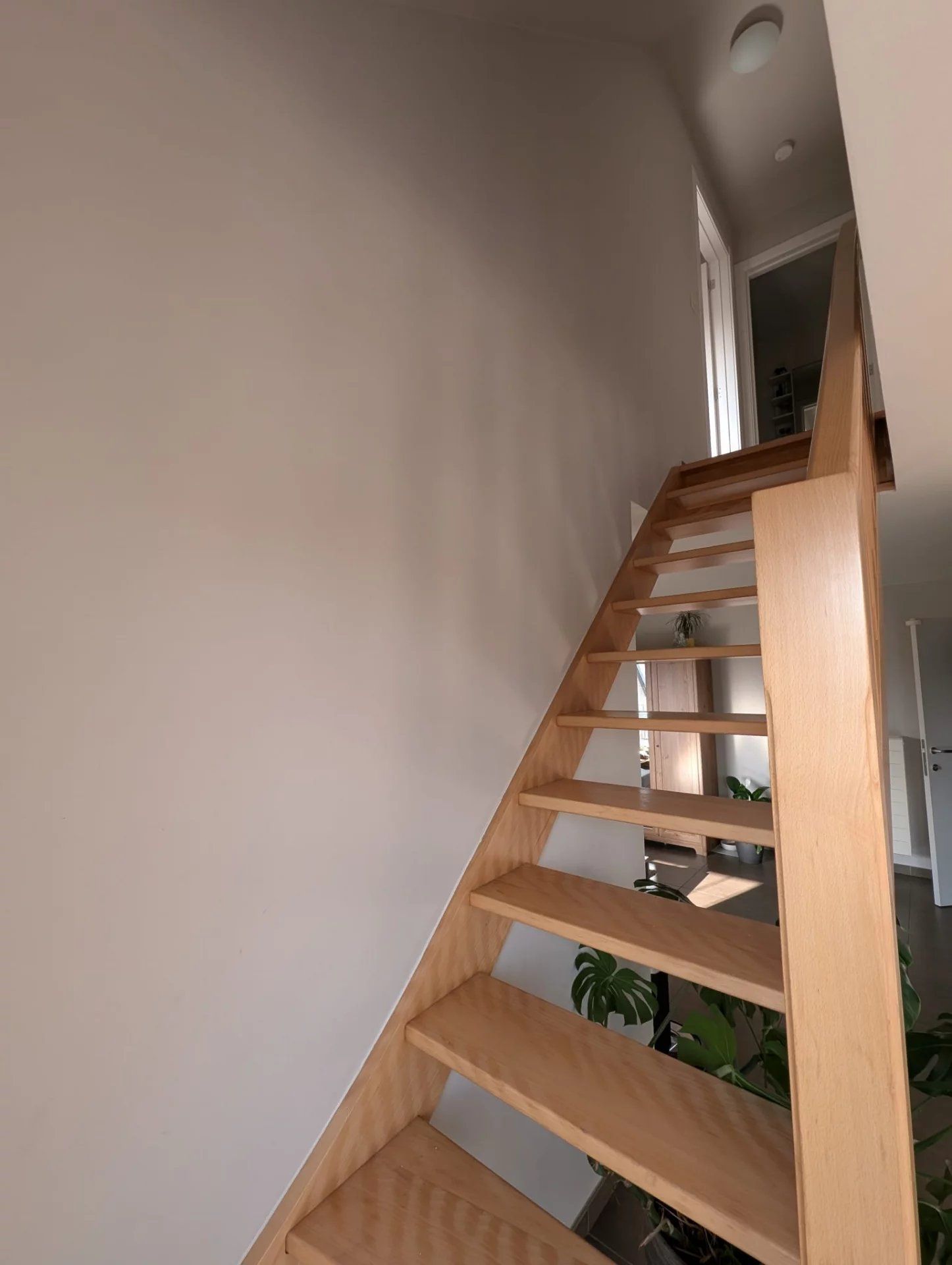 1 slaapkamer appartement centrum Diepenbeek foto 4