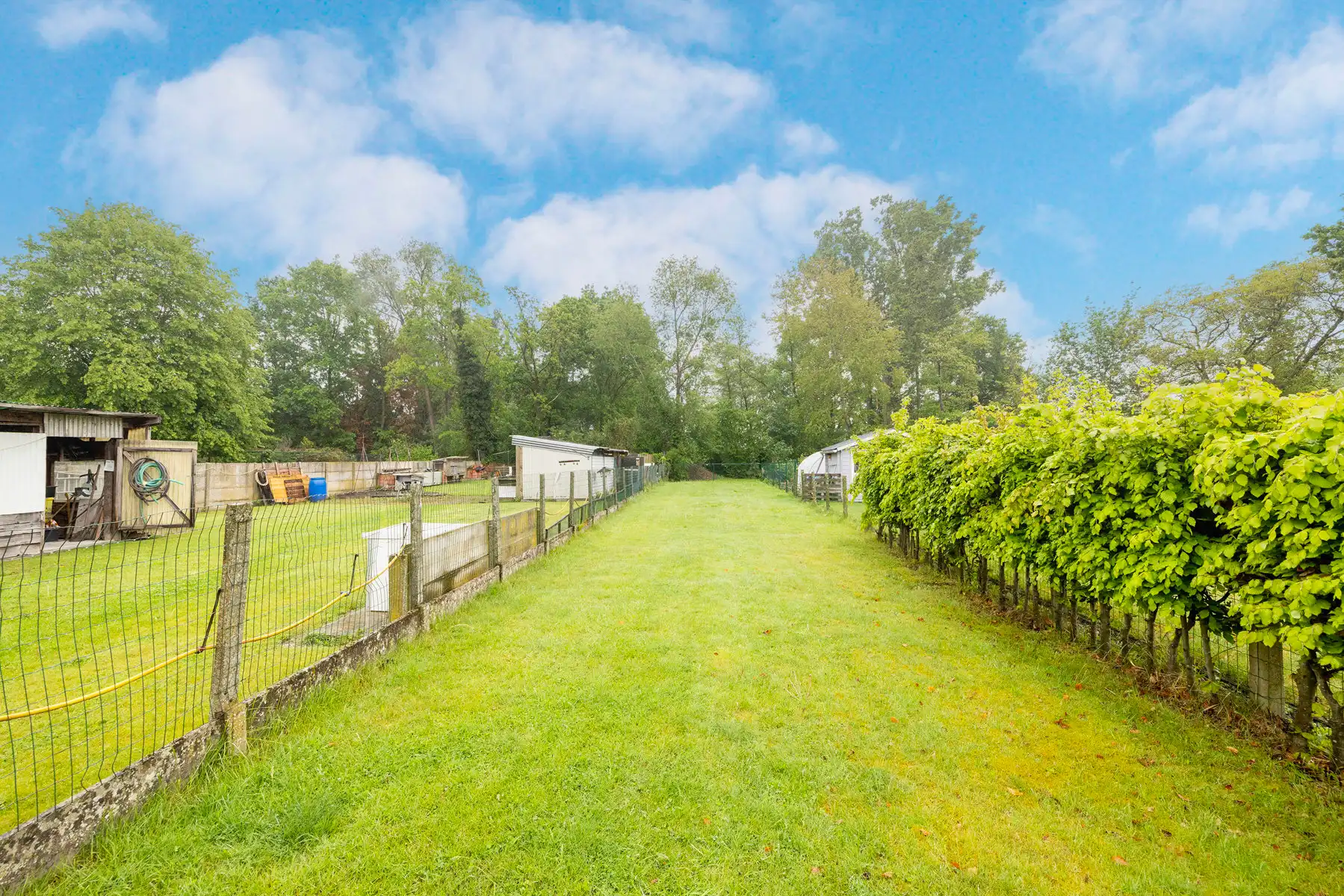 Gerenoveerde woning met o.a. 3 slaapkamers foto 6