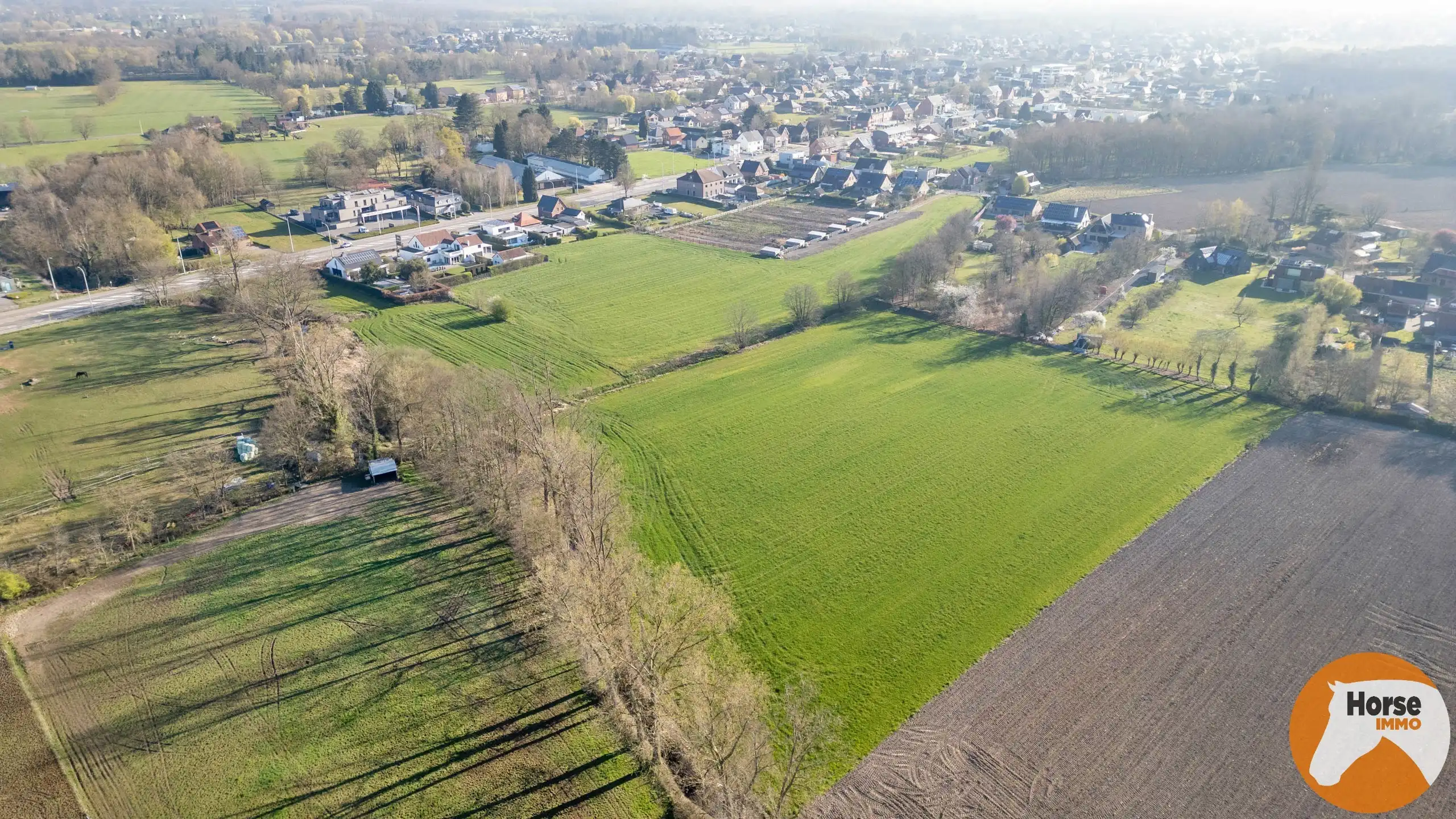 HASSELT-Mooi perceel bouwgrond voor open bebouwing en weide foto 4