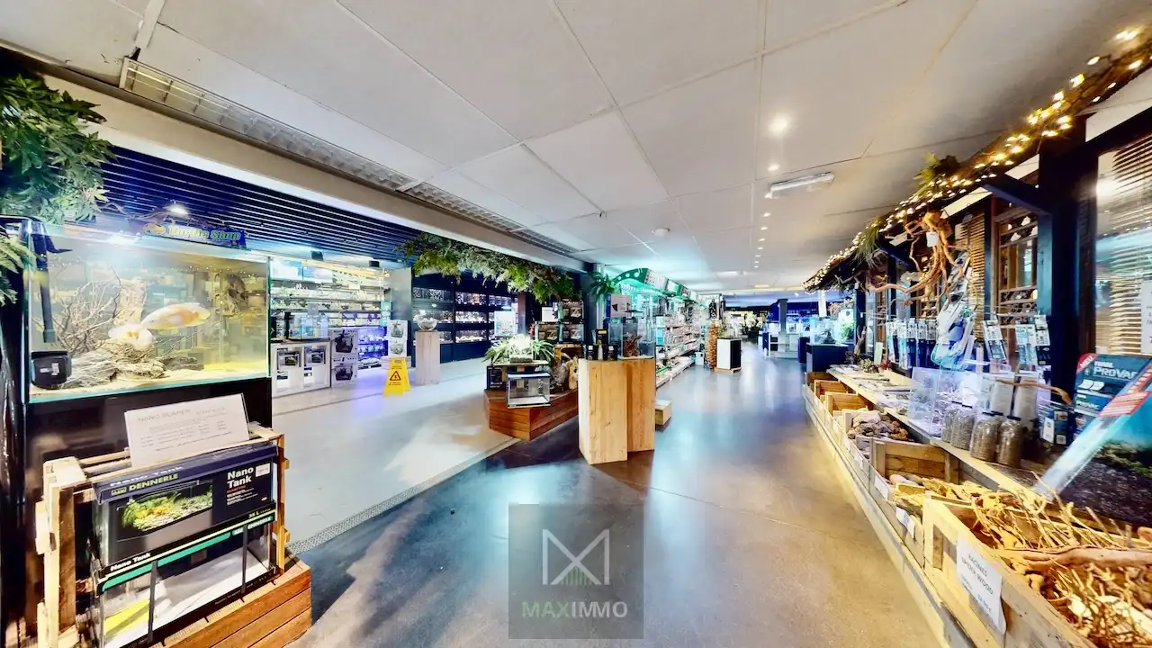 Het grootste handelspand van de Rijselstraat – meer dan 630 m² commerciële mogelijkheden foto 4