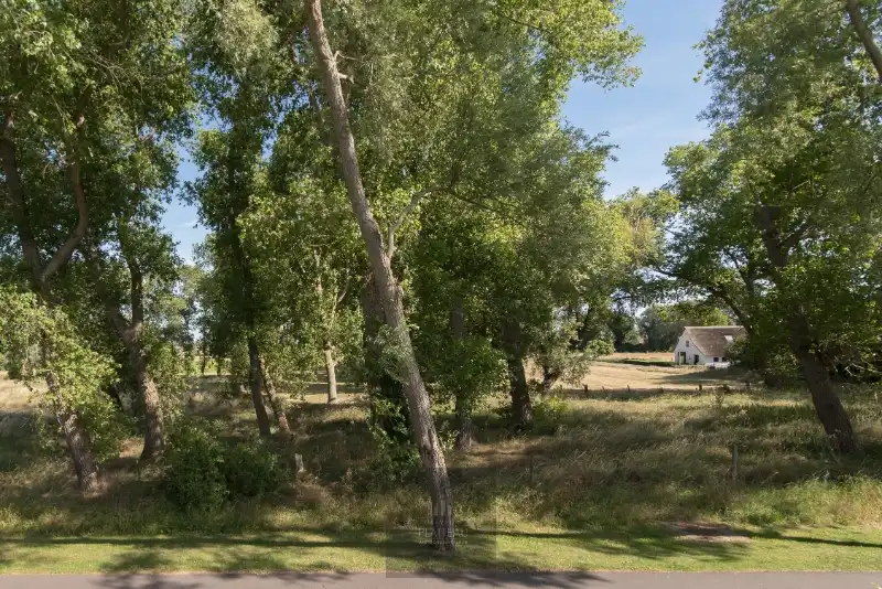 Uitzonderlijke villa op 3299m² gelegen op toplocatie te Nieuwpoort-Bad. foto 24