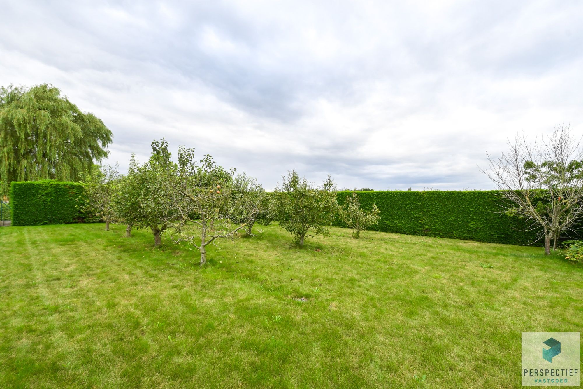 ADEGEM - TIJDLOZE VILLA met GROTE TUIN foto 27