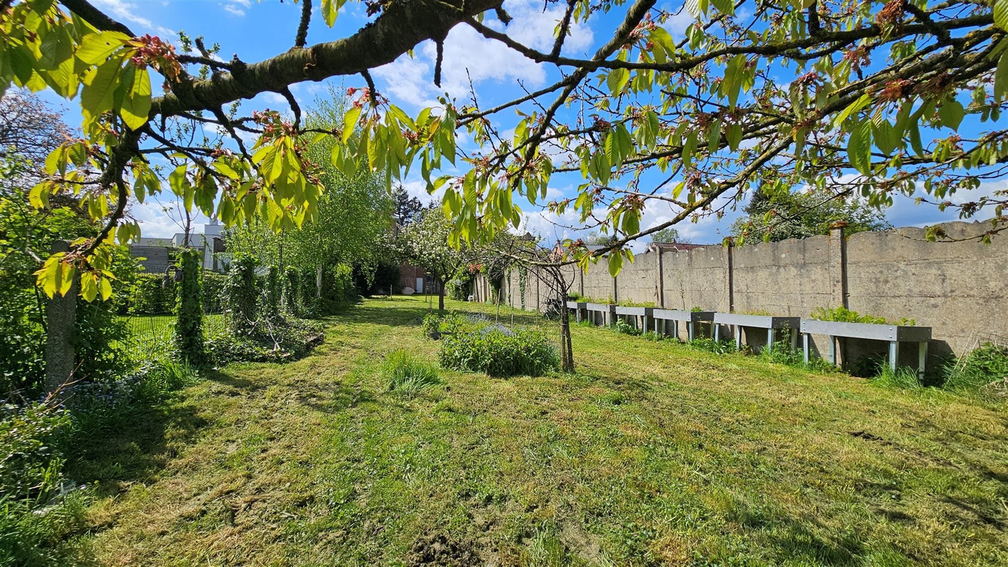 Aangename drie-gevel en bel-étage woning met grote tuin foto 23