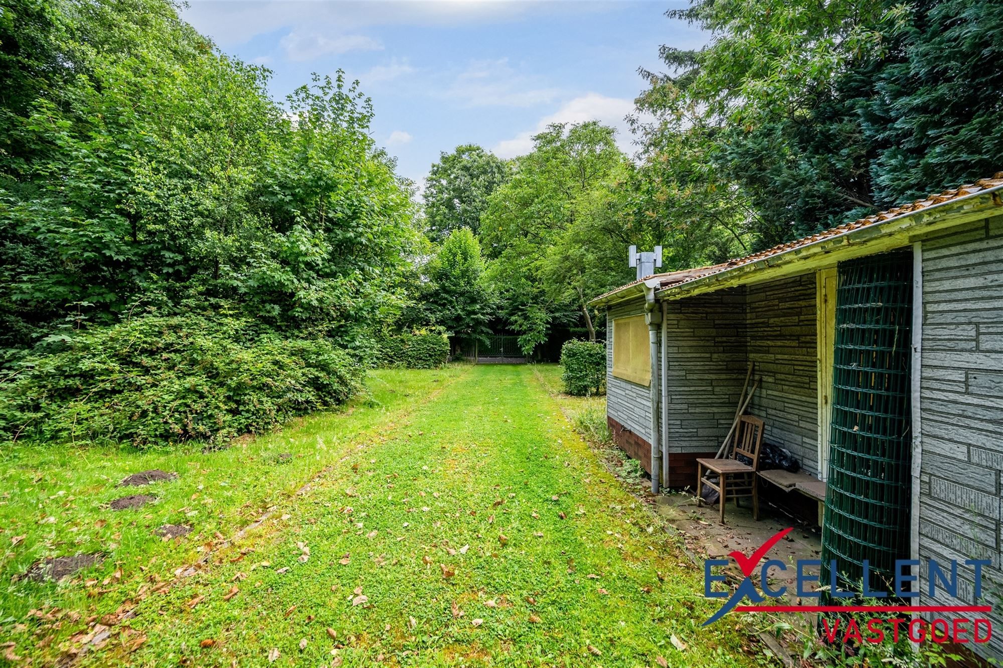Unieke kans voor natuurliefhebbers foto 5