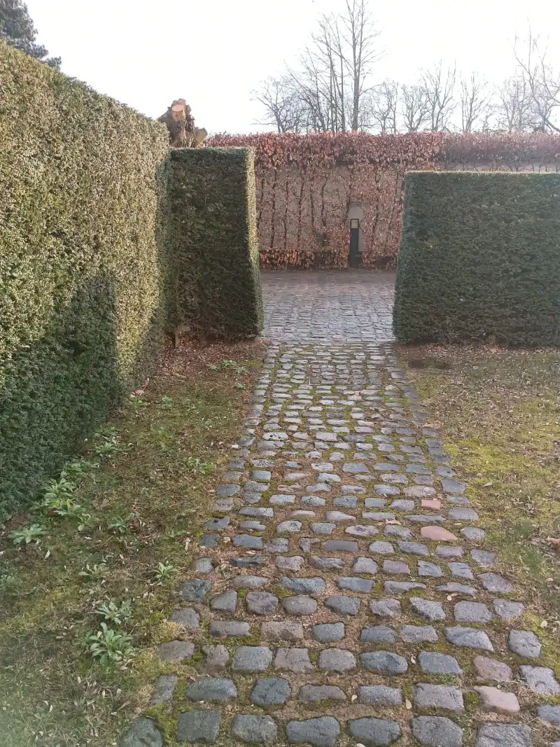 Mooie woning en gerestaureerd schoolgebouw foto 24