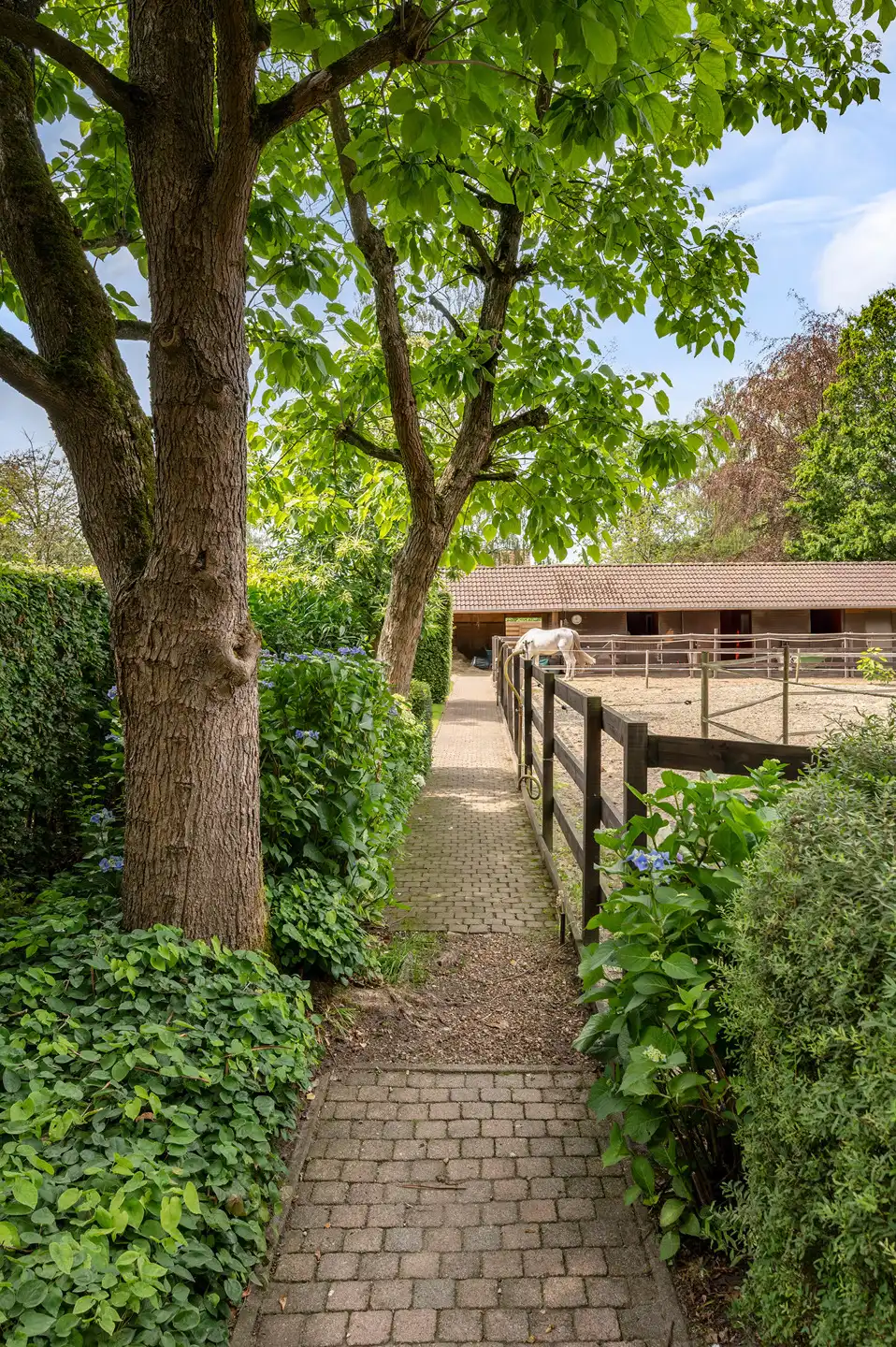 Karaktervolle villa met paardenaccommodatie op prachtig zuidwestgericht perceel in De Fazant te Wuustwezel foto 35