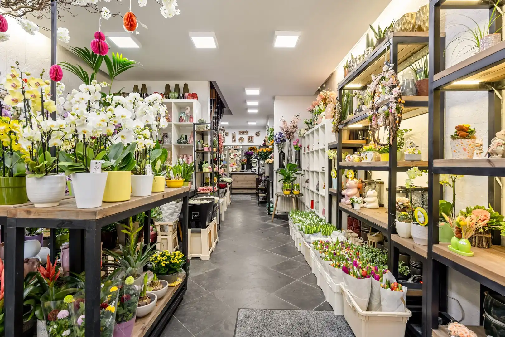 Handelspand met woonst in het centrum van Sint-Truiden. foto 3