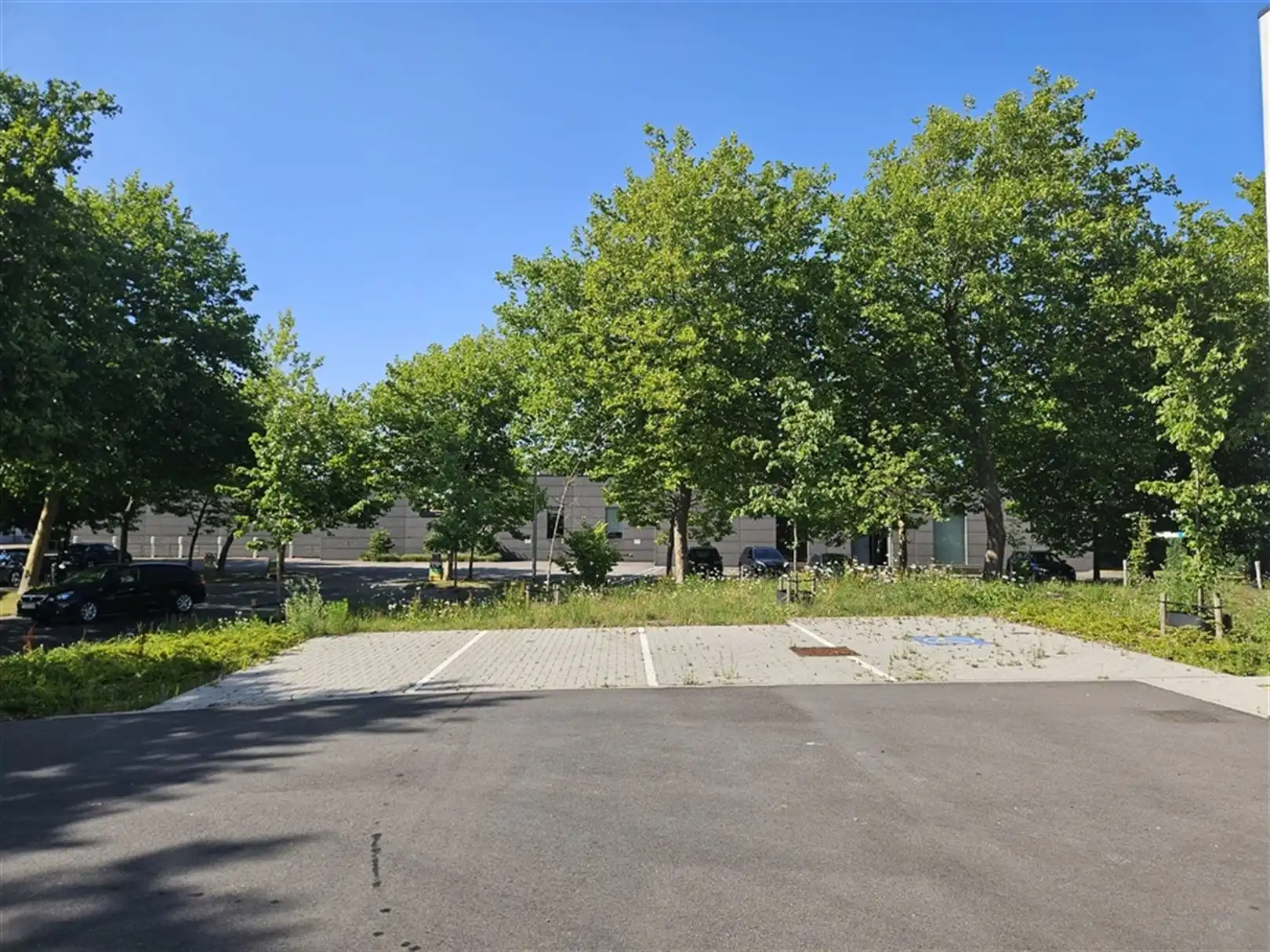 Nieuwbouw magazijn te huur in Jabbeke foto 8