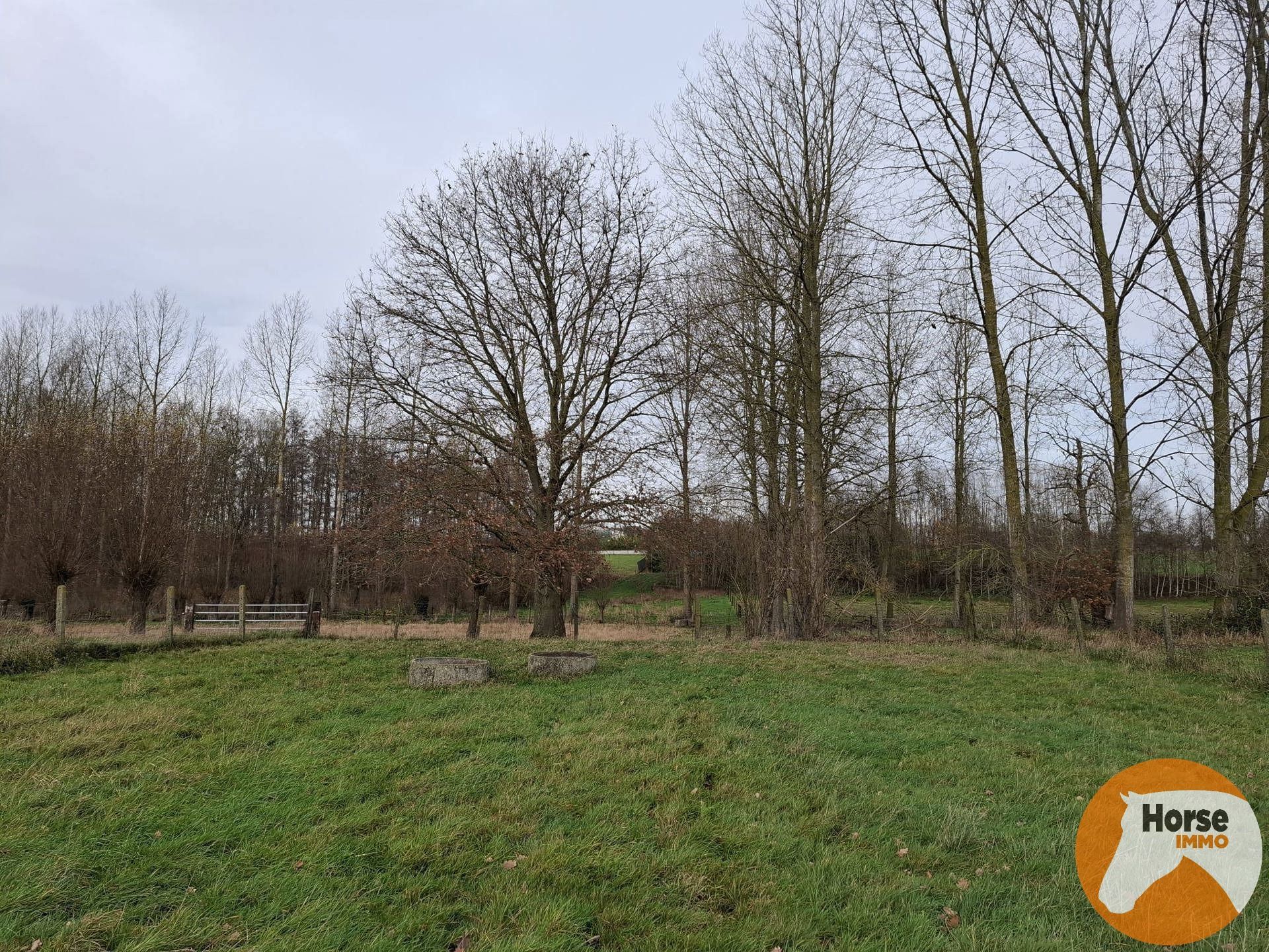 DENDERHOUTEM– Perceel weiland van 29a 50ca foto 7