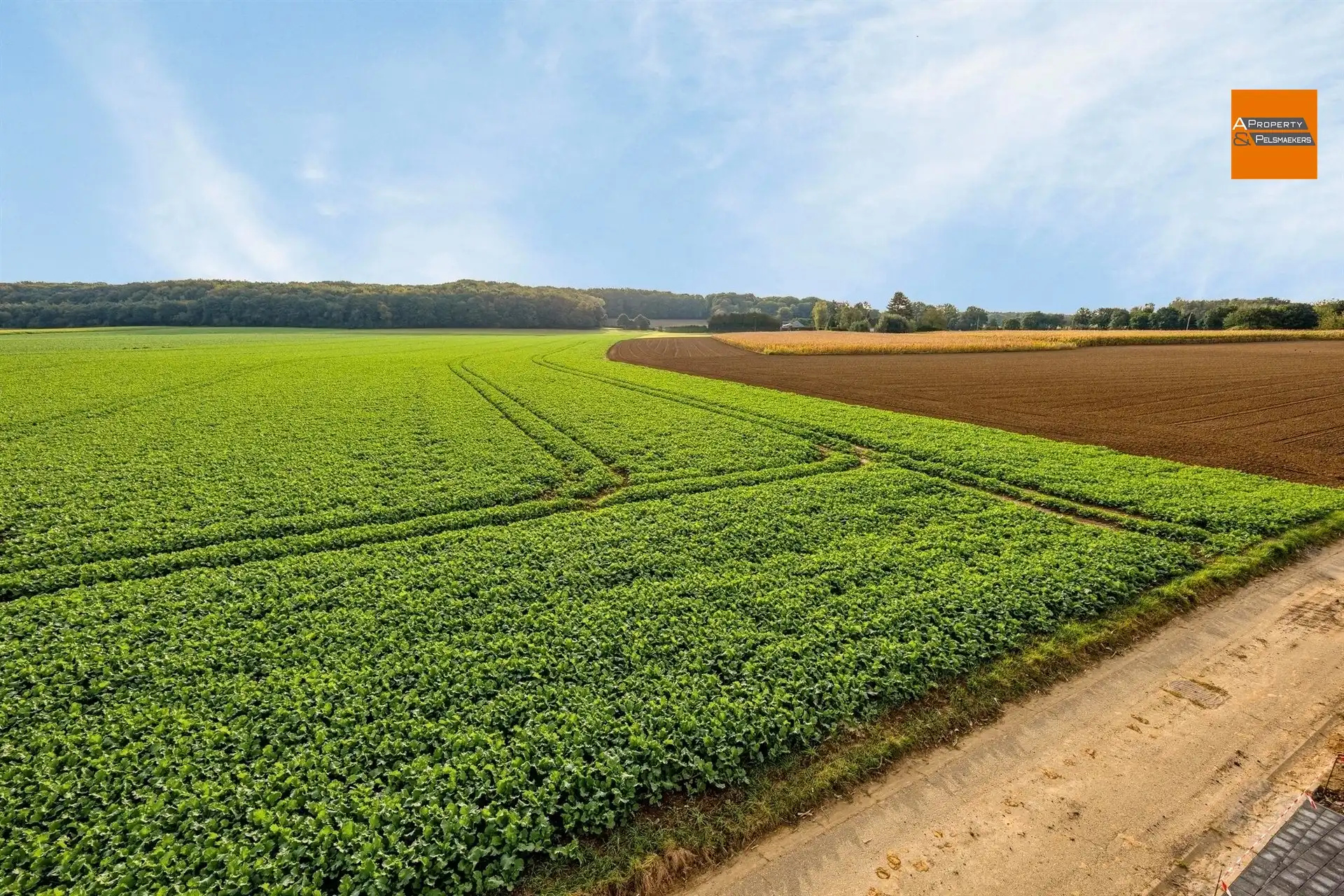 Ruime nieuwbouw villa met 4 slaapkamers foto 24