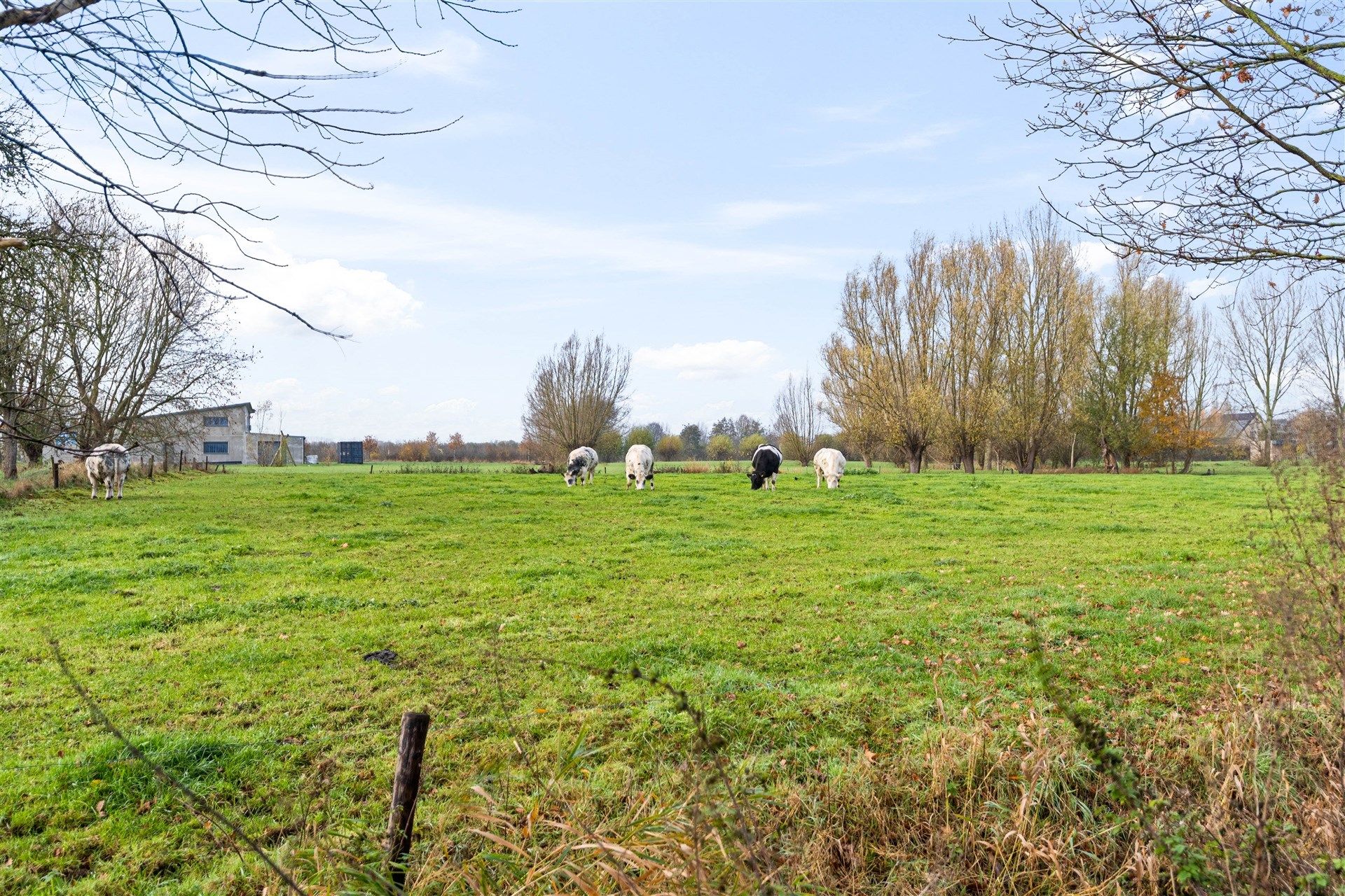 Kwalitatieve rijwoning te Vrasene foto 11