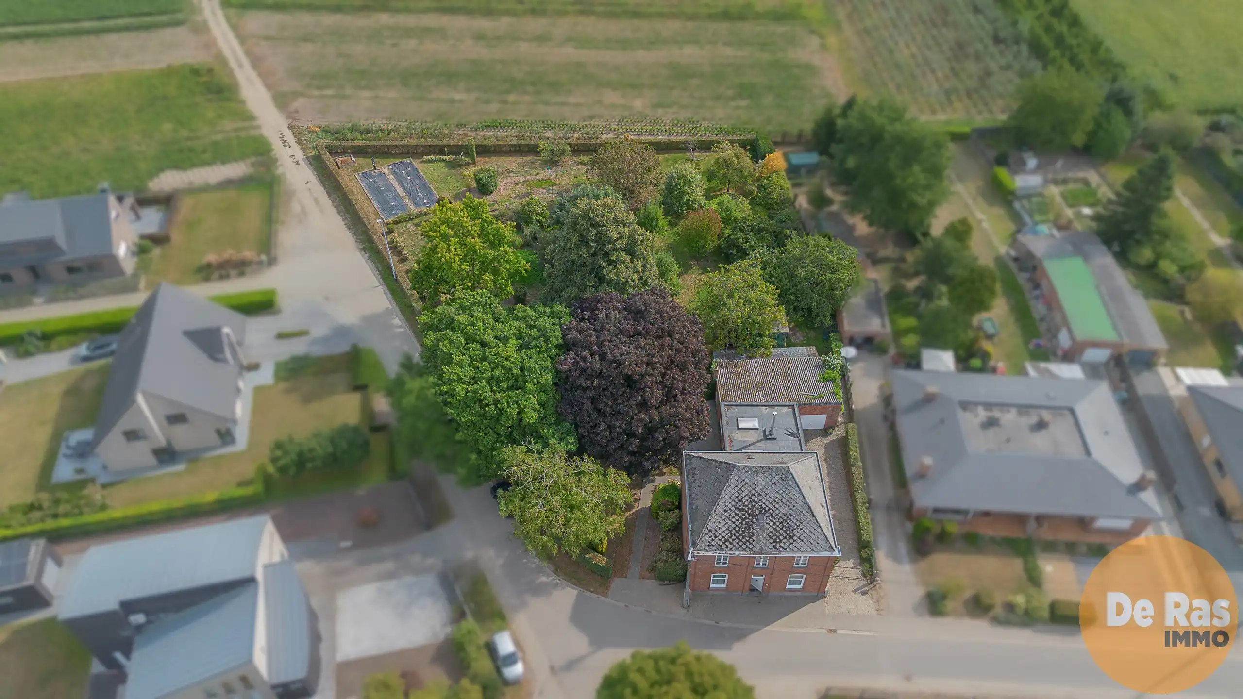 WICHELEN – Karakteristiek burgerhuis op schitterend perceel foto 2